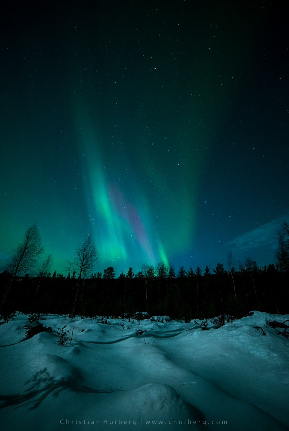 rendalen-aurora.jpg