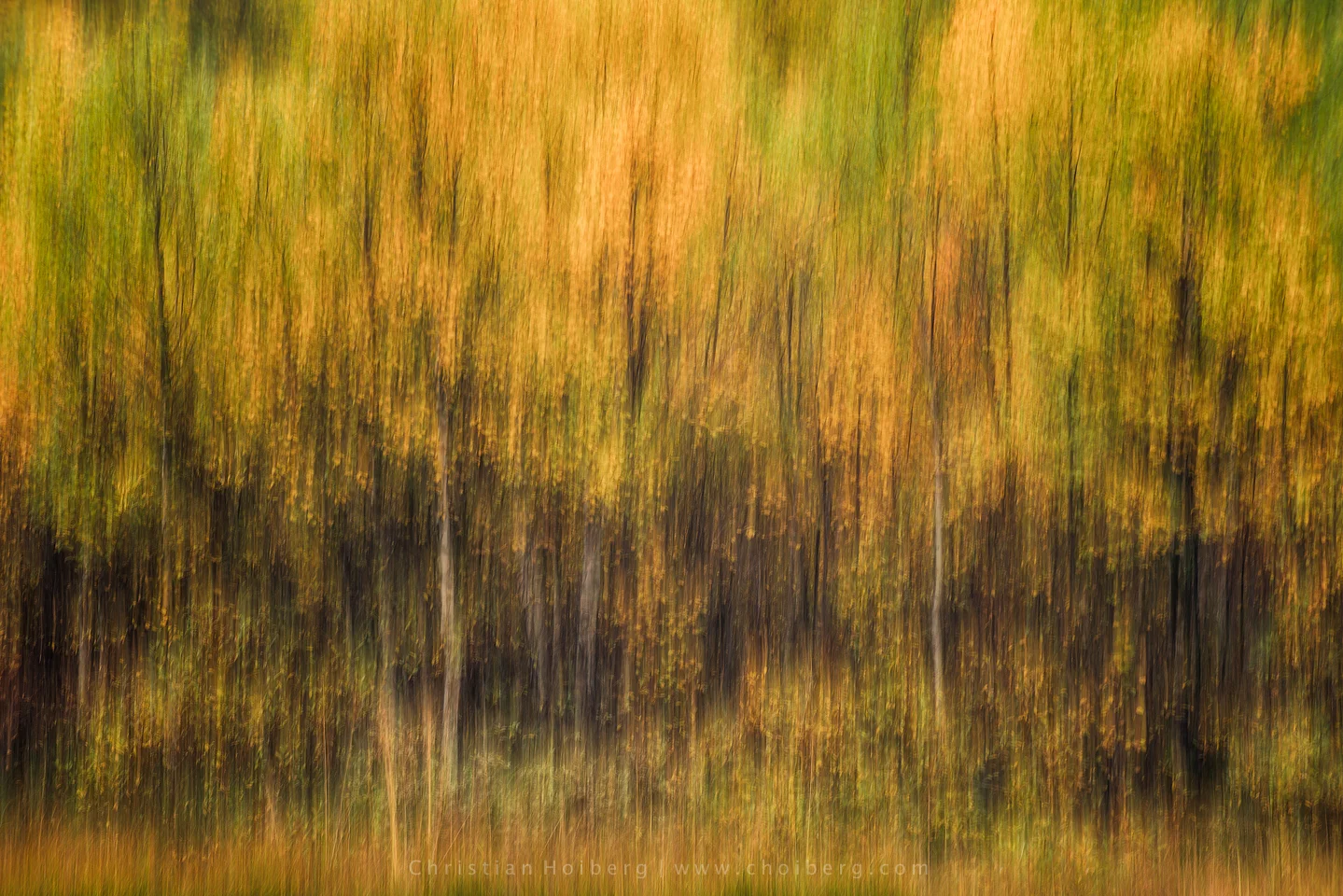 Abstract Autumn