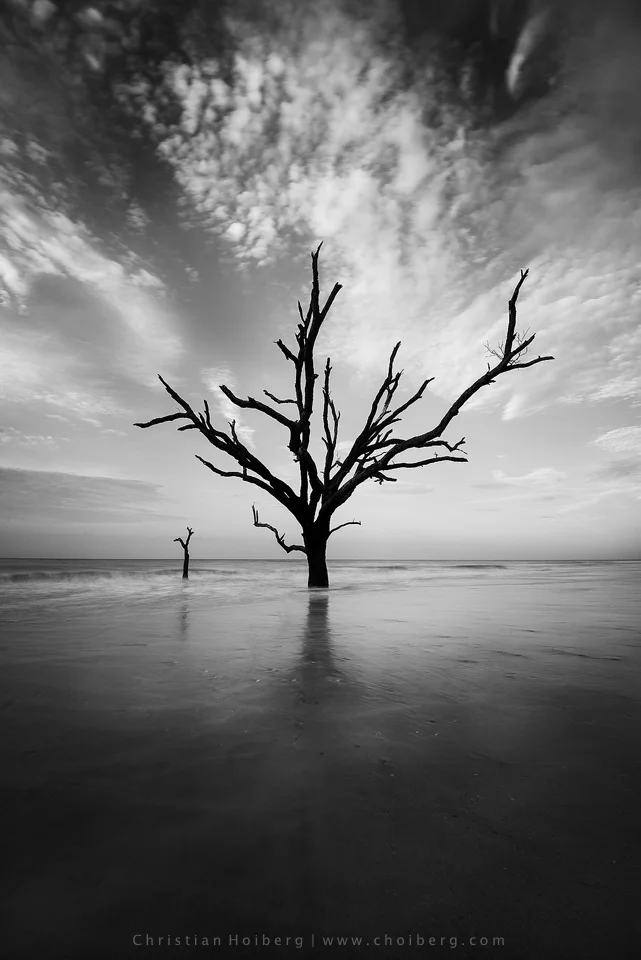 Botany Bay Black and White