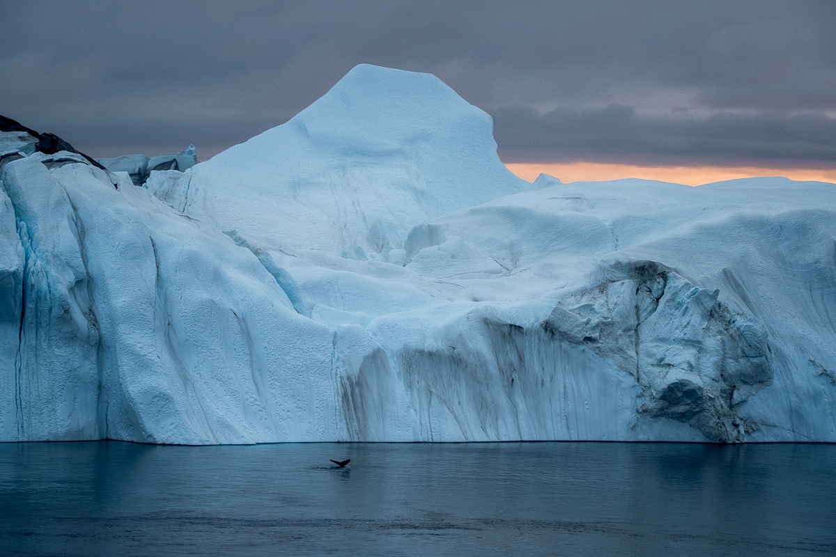 Ilulissat-Iceberg-Abstract-Whale-II.jpg