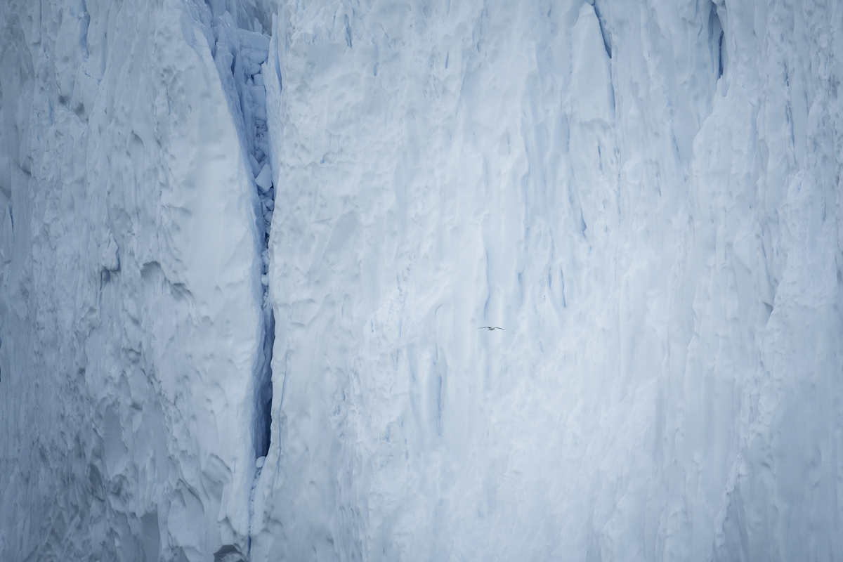 Abstract Greenland III