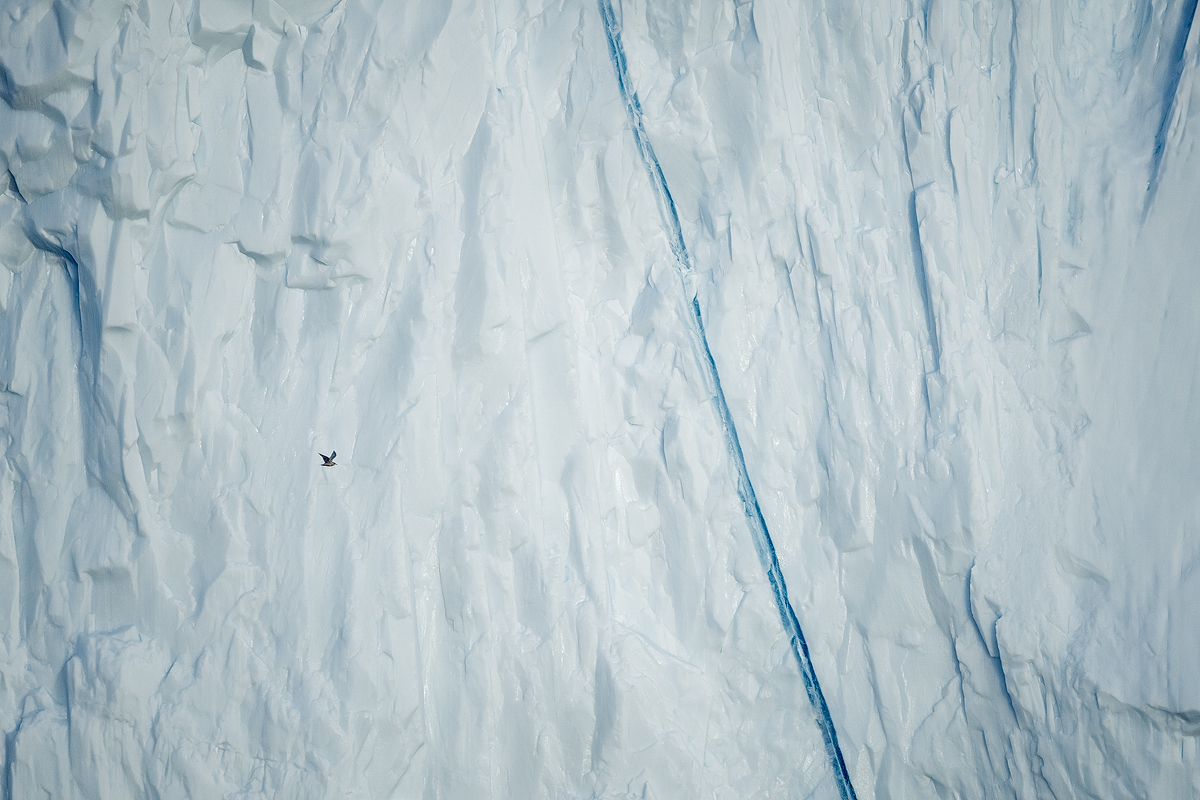 Abstract Greenland X