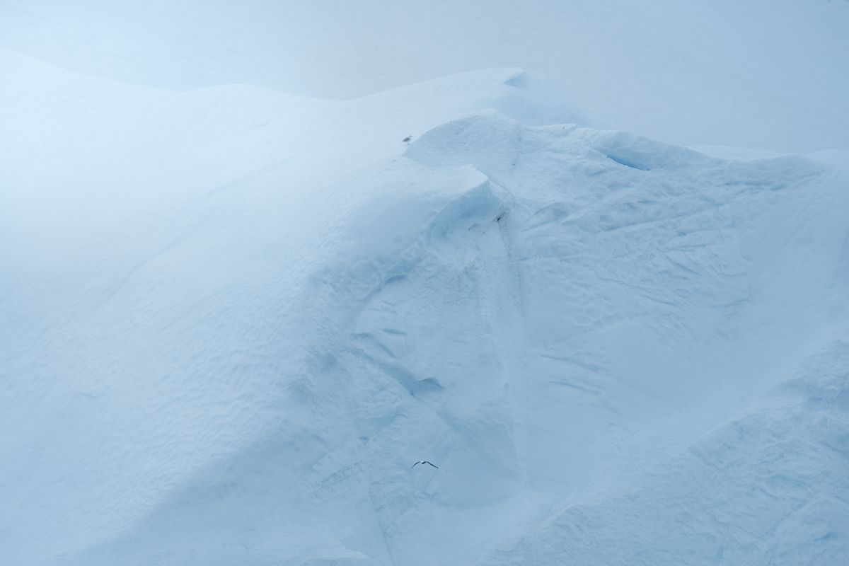 Abstract Greenland XI