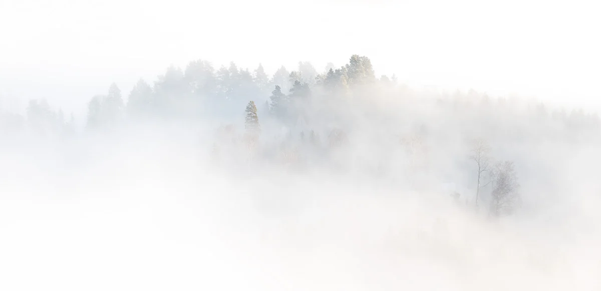Hedenstad-fog-bright.jpg