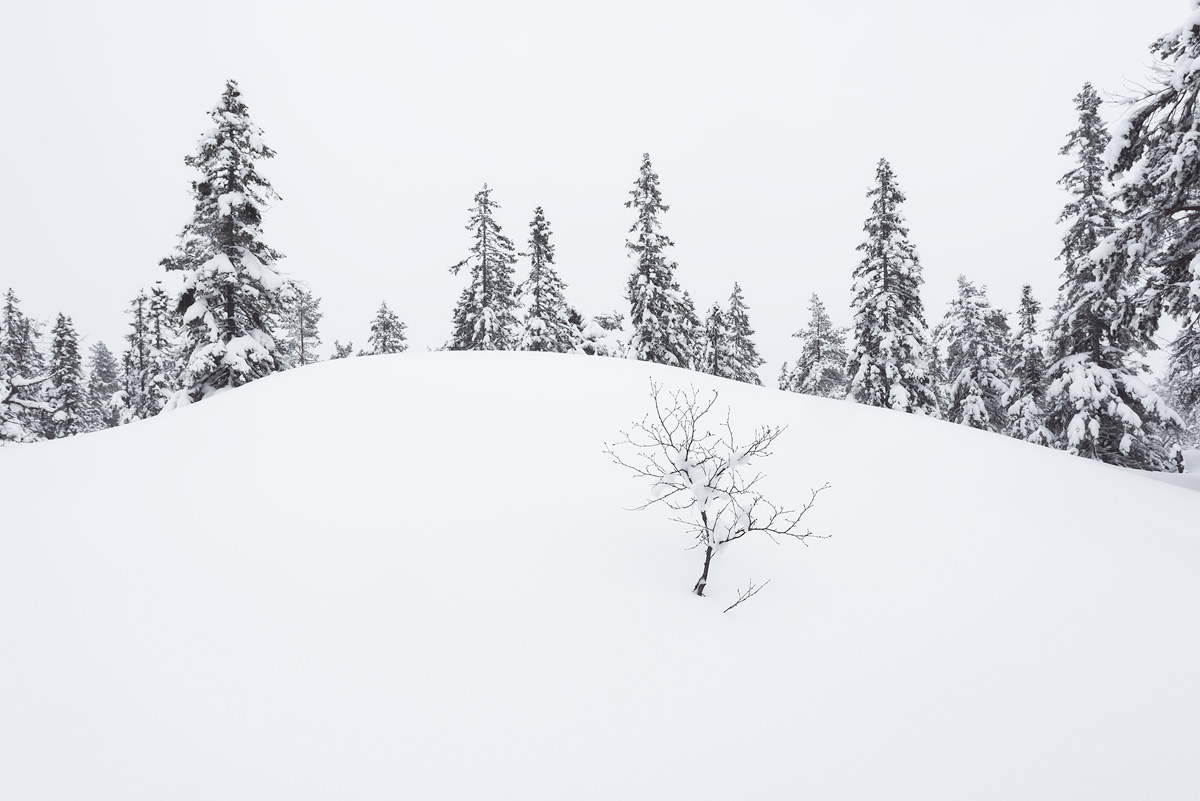 Blefjell-winter-snow.jpg