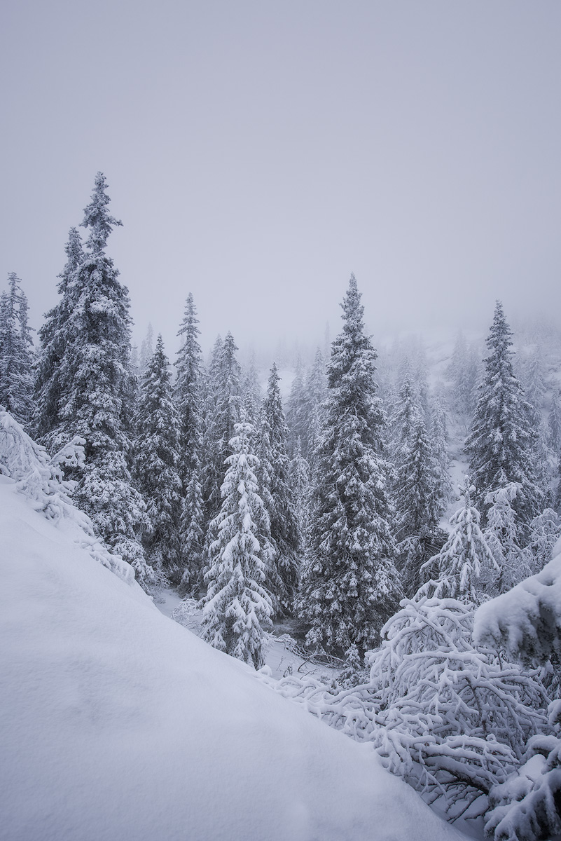 Kongsberg-winter-whiteout.jpg
