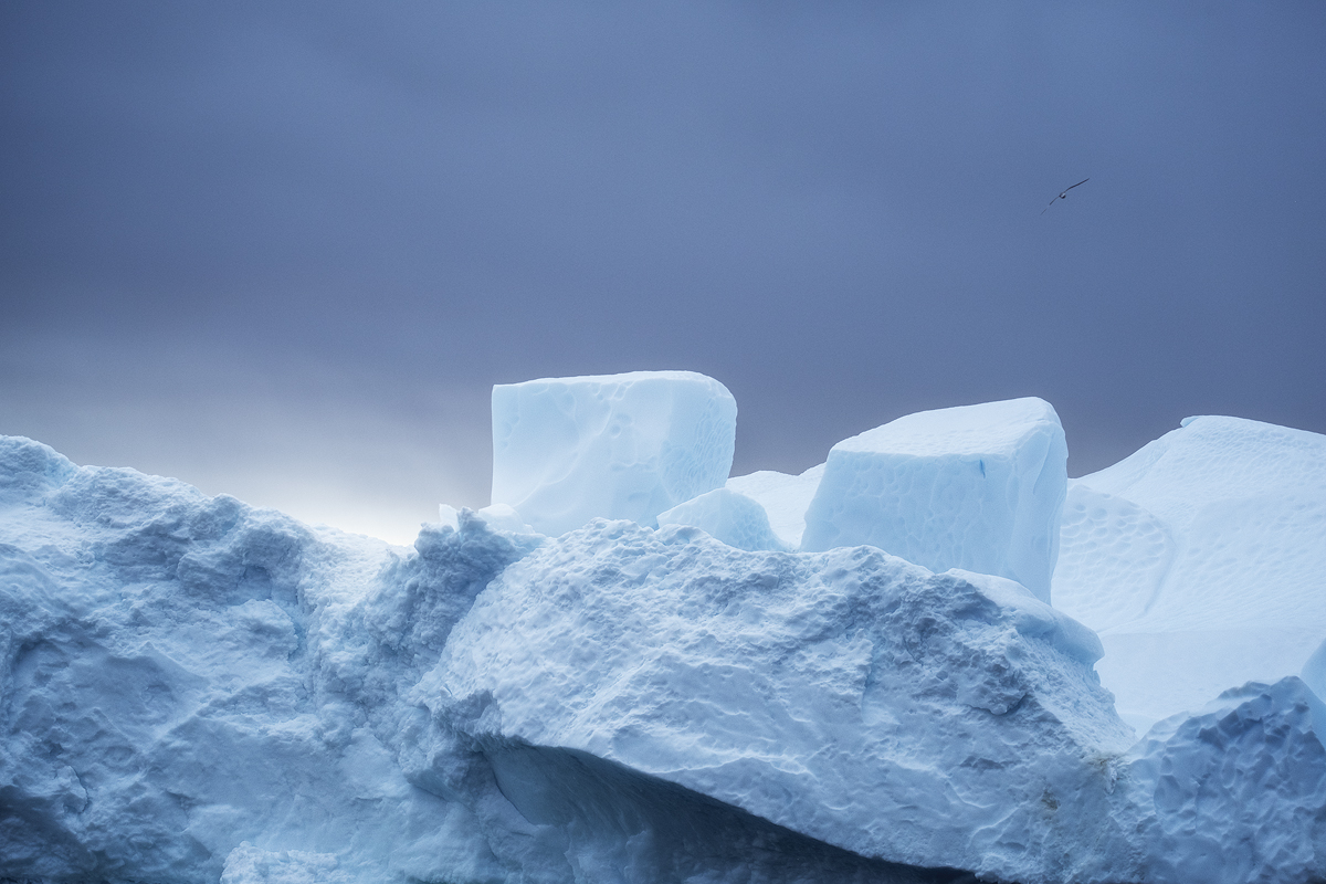 Ilulissat-Iceberg-VIII.jpg