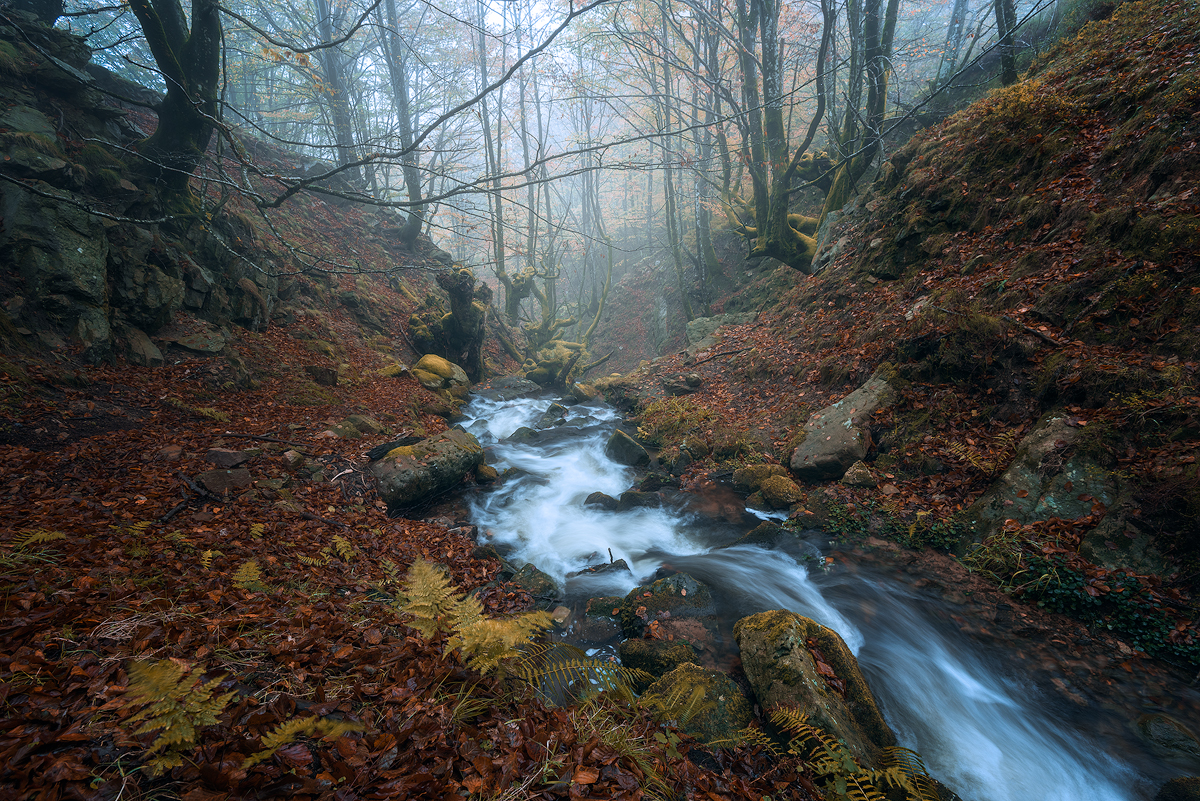 Belaustegui-River-Autumn.jpg