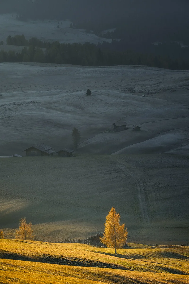 Alpe-de-Siusi-Zoom-IV.jpg
