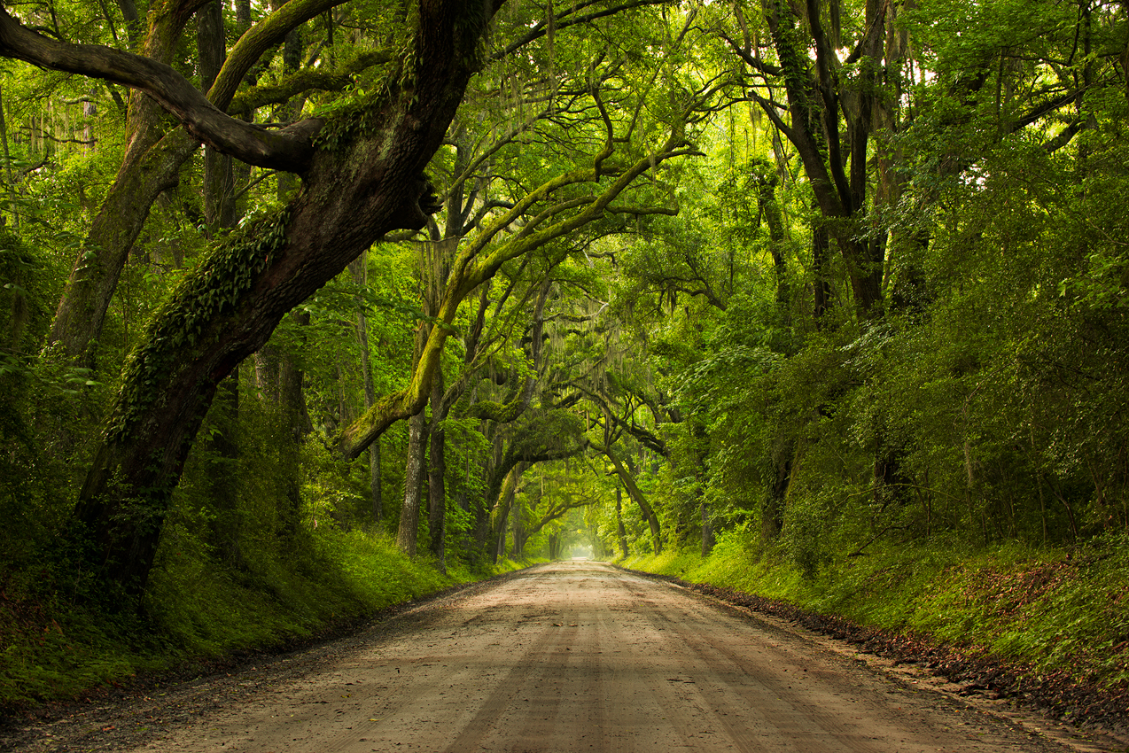 Botany-Bay-Road.jpg