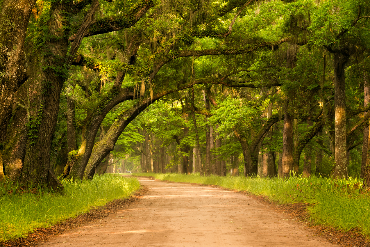Botany-Bay-Road-Turn.jpg