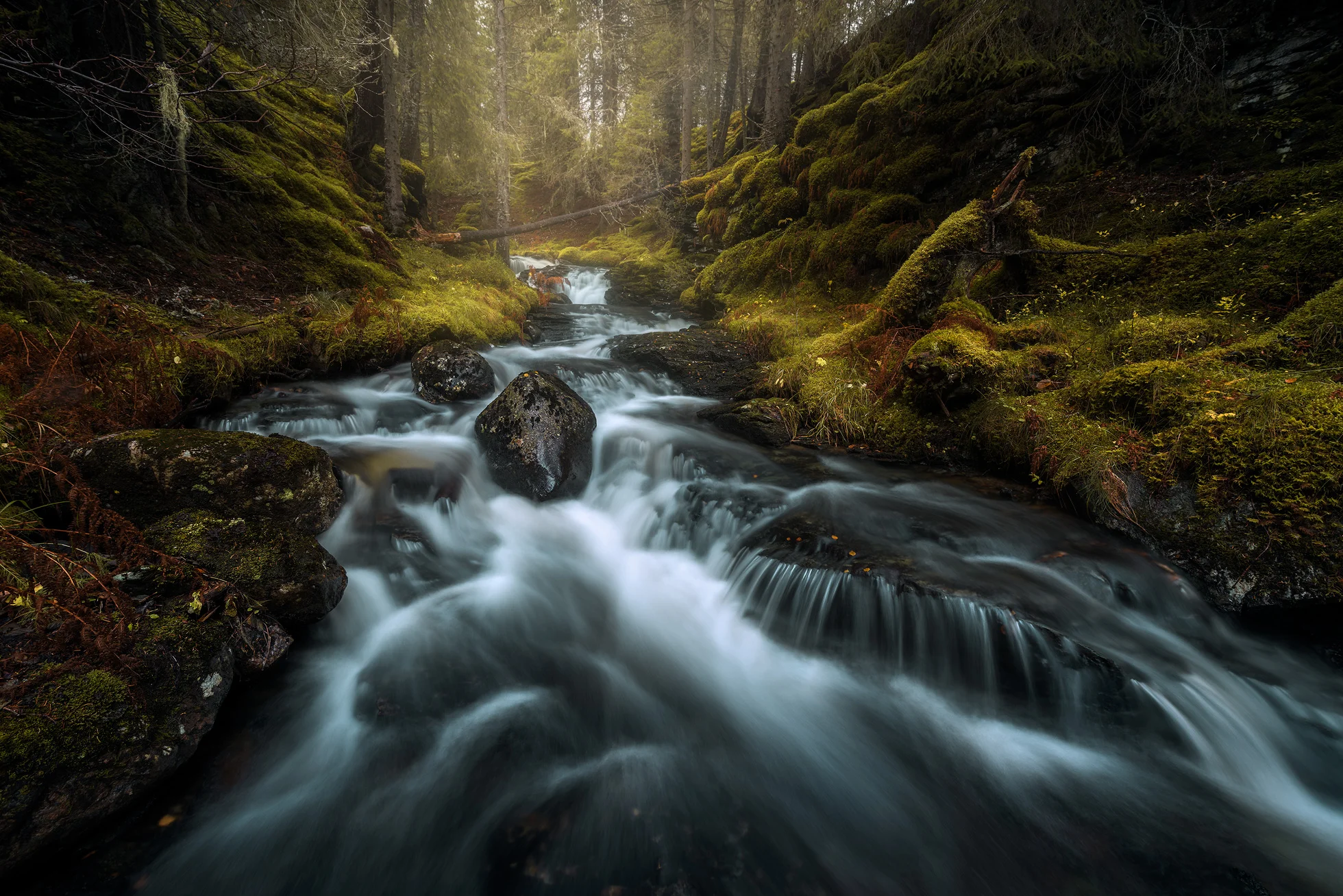 Trondheim-Byasen-Canyon-Glow.jpg