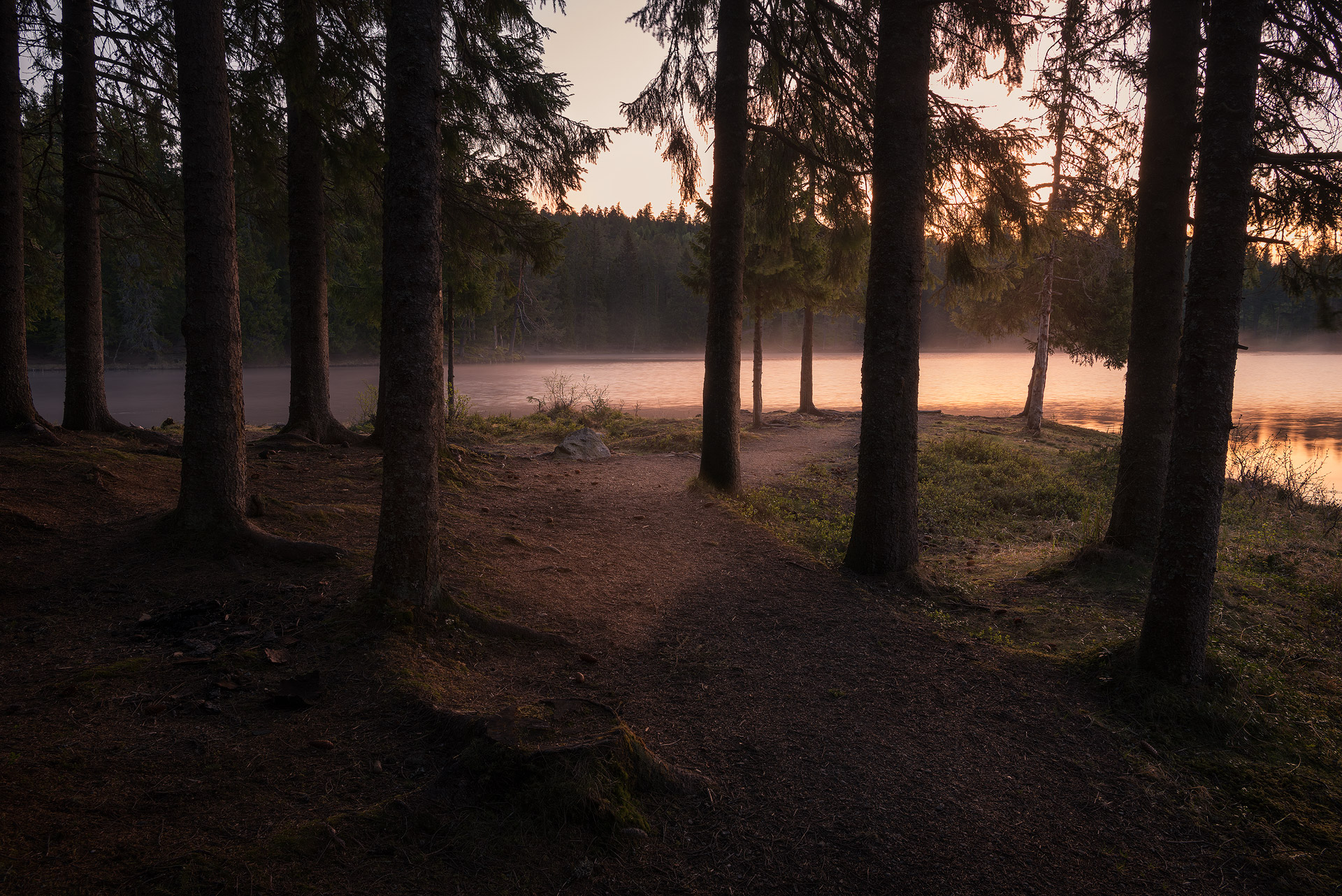 Trondheim-Bymarka-Sunrise-Baklidammen.jpg