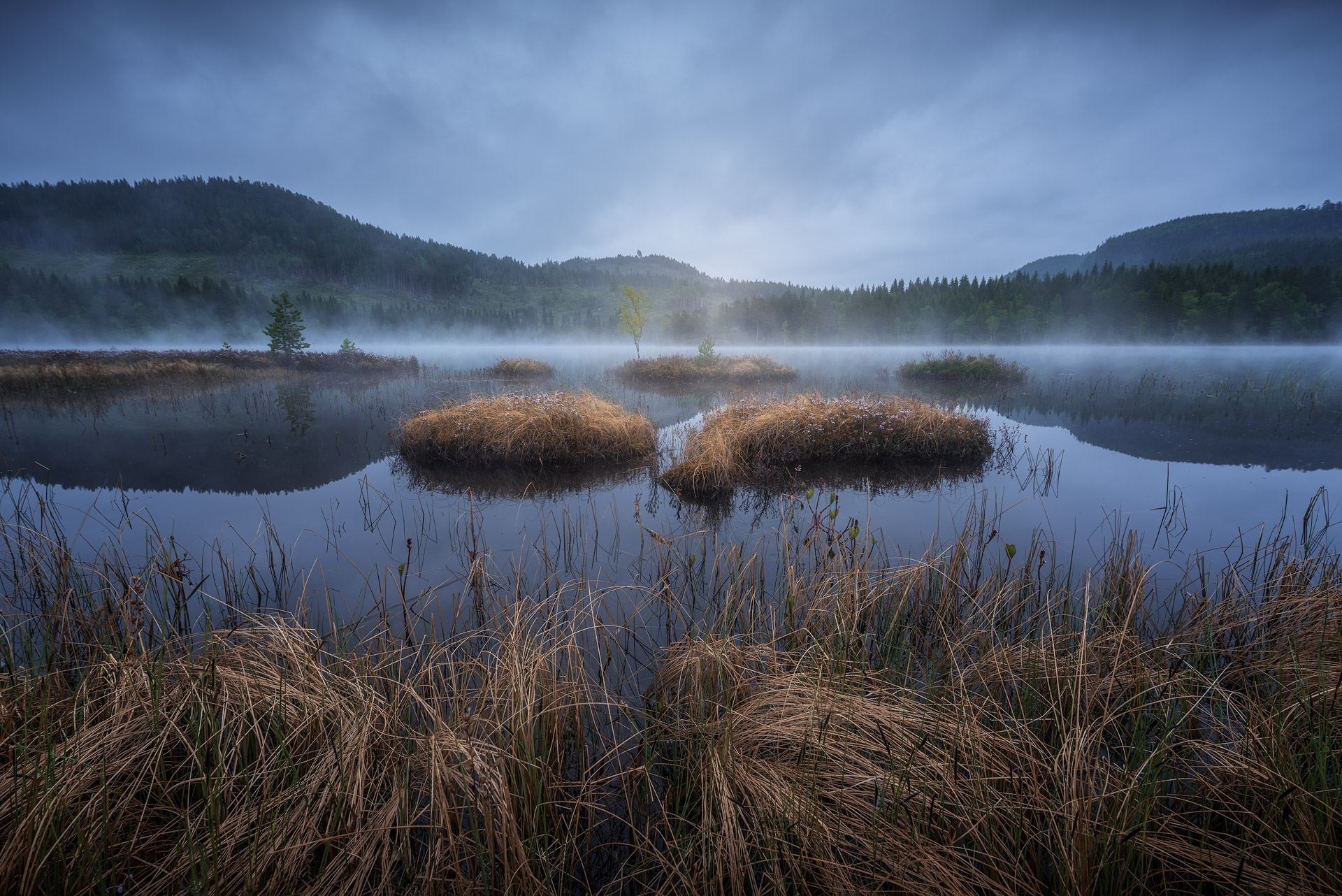 Trondheim-Gjeddvatnet-Fog.jpg