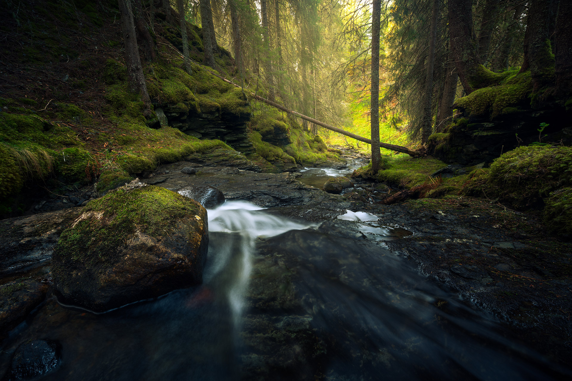 Trondheim-Bymarka-Canyon.jpg