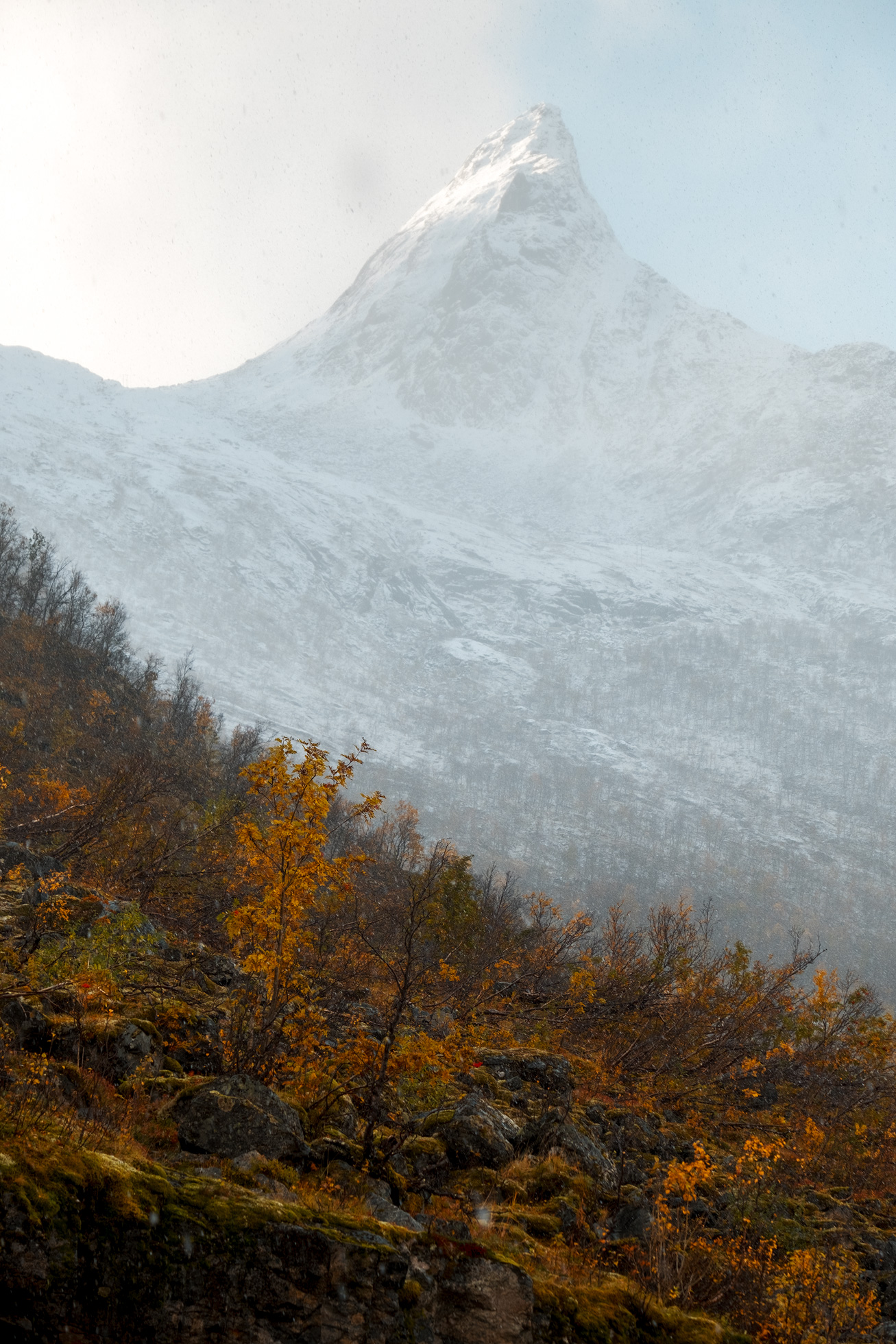 Senja-Autumn-Snow-Vertical.jpg