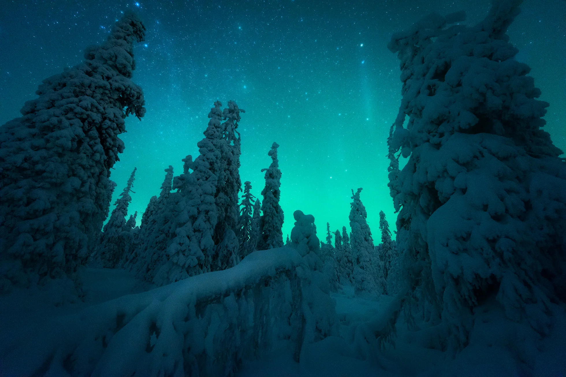 Giants of the Night
