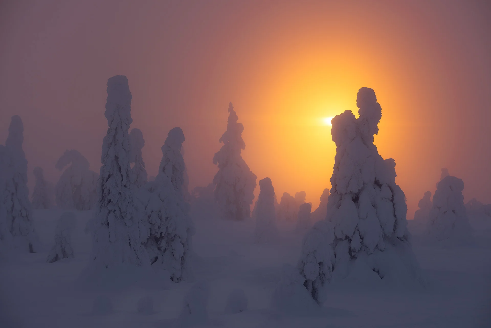 Finland-01-2019-1.jpg