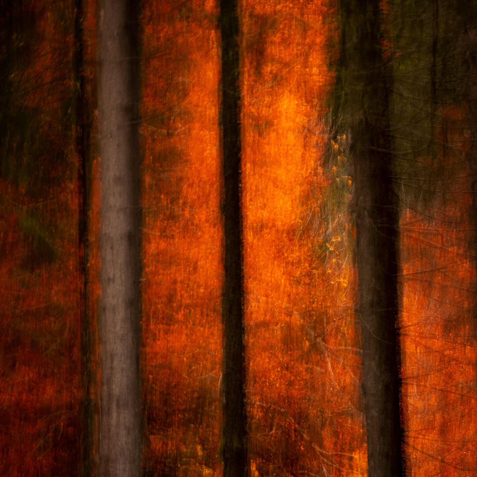 Autumn-Fire-1.jpg