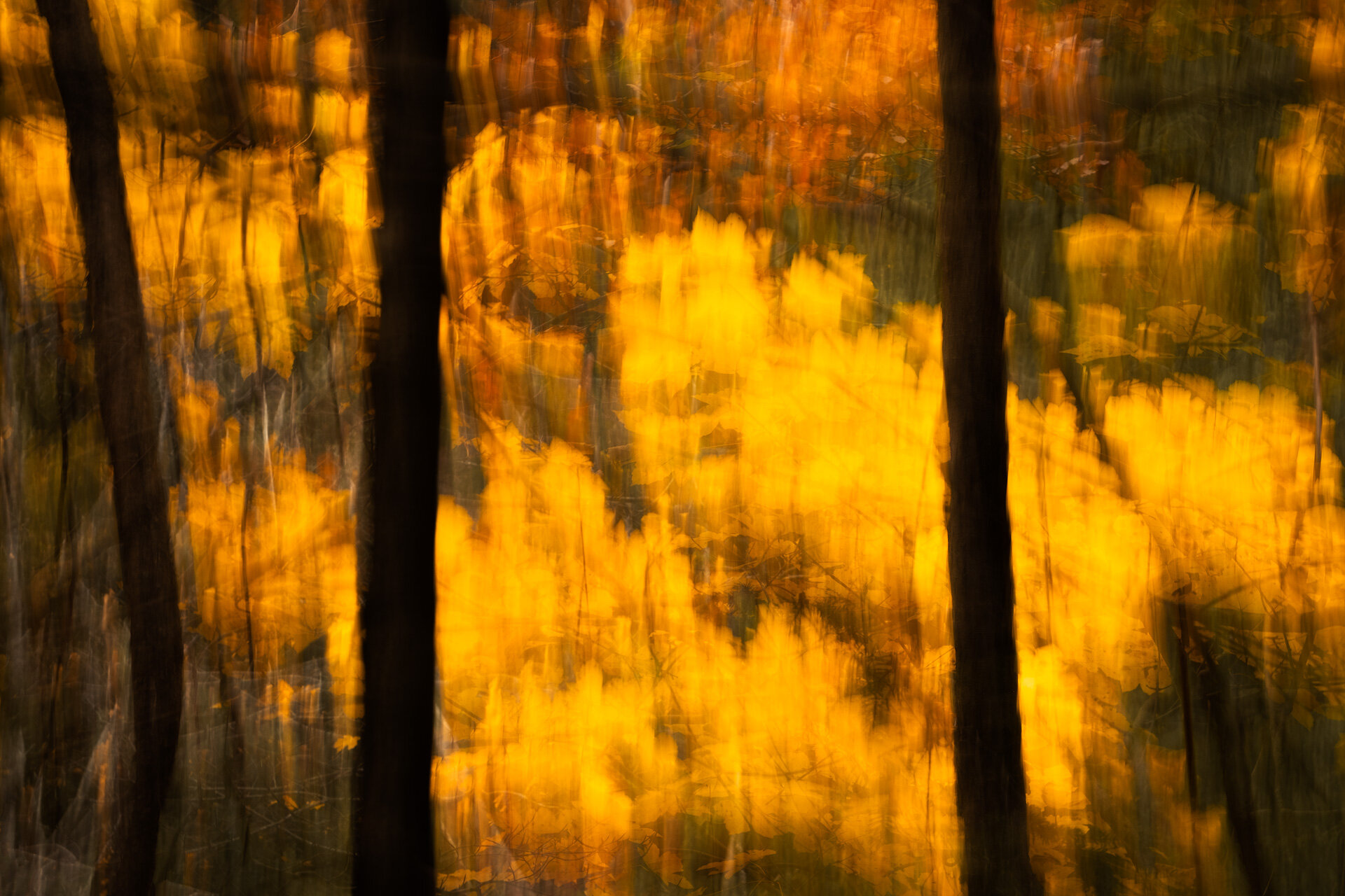 Autumn-Fire-3.jpg