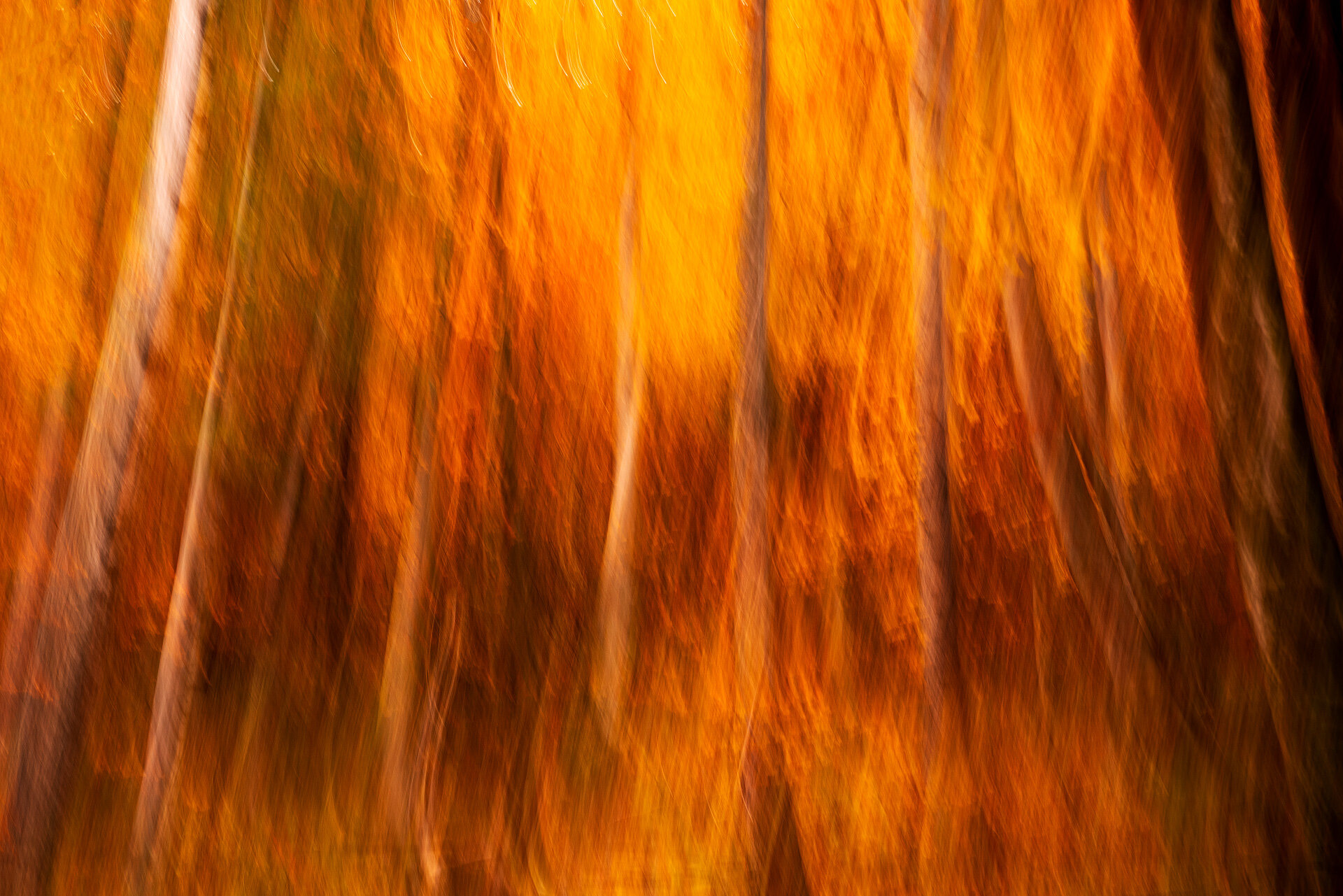 Autumn-Fire-8.jpg