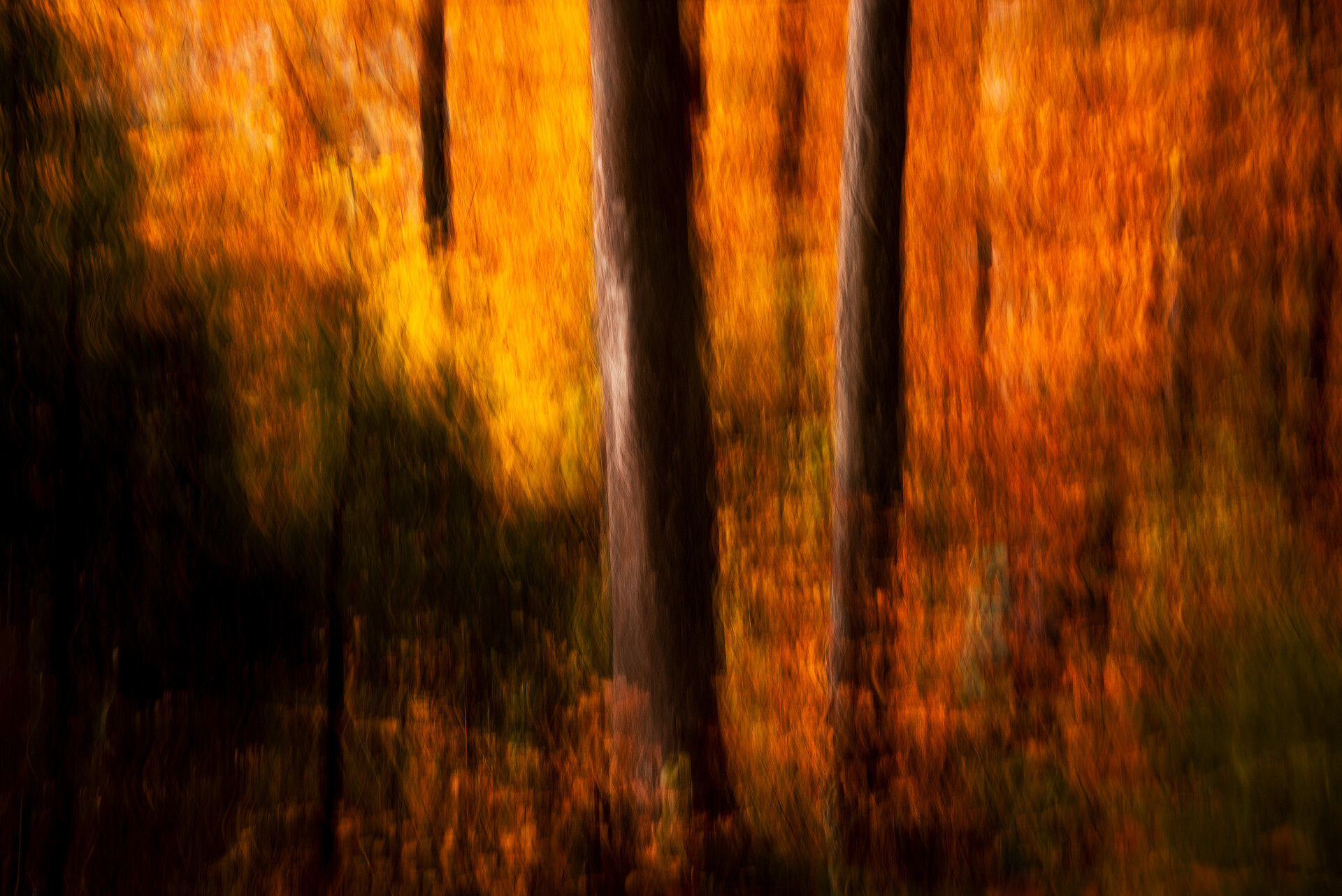 Autumn-Fire-10.jpg