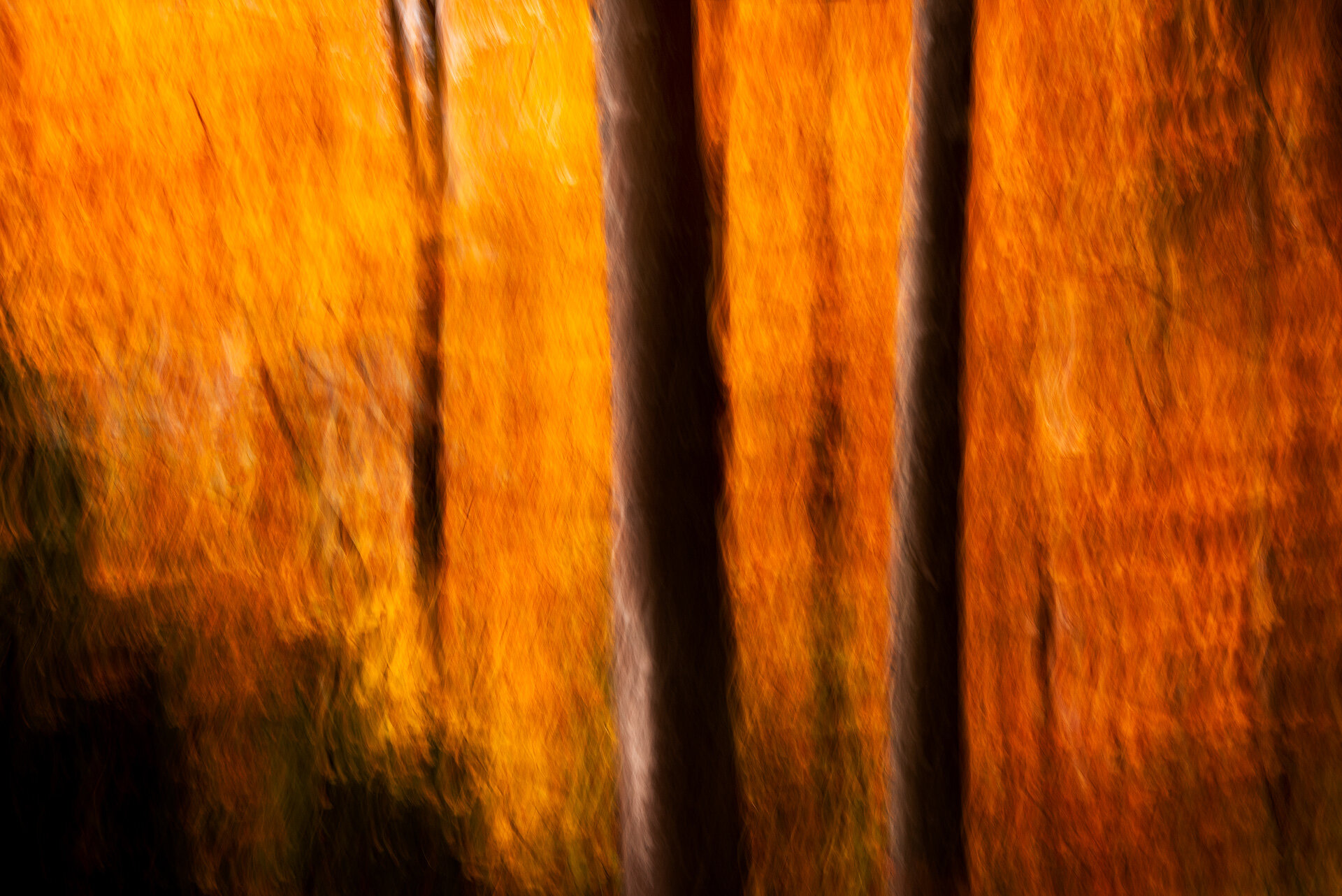 Autumn-Fire-9.jpg