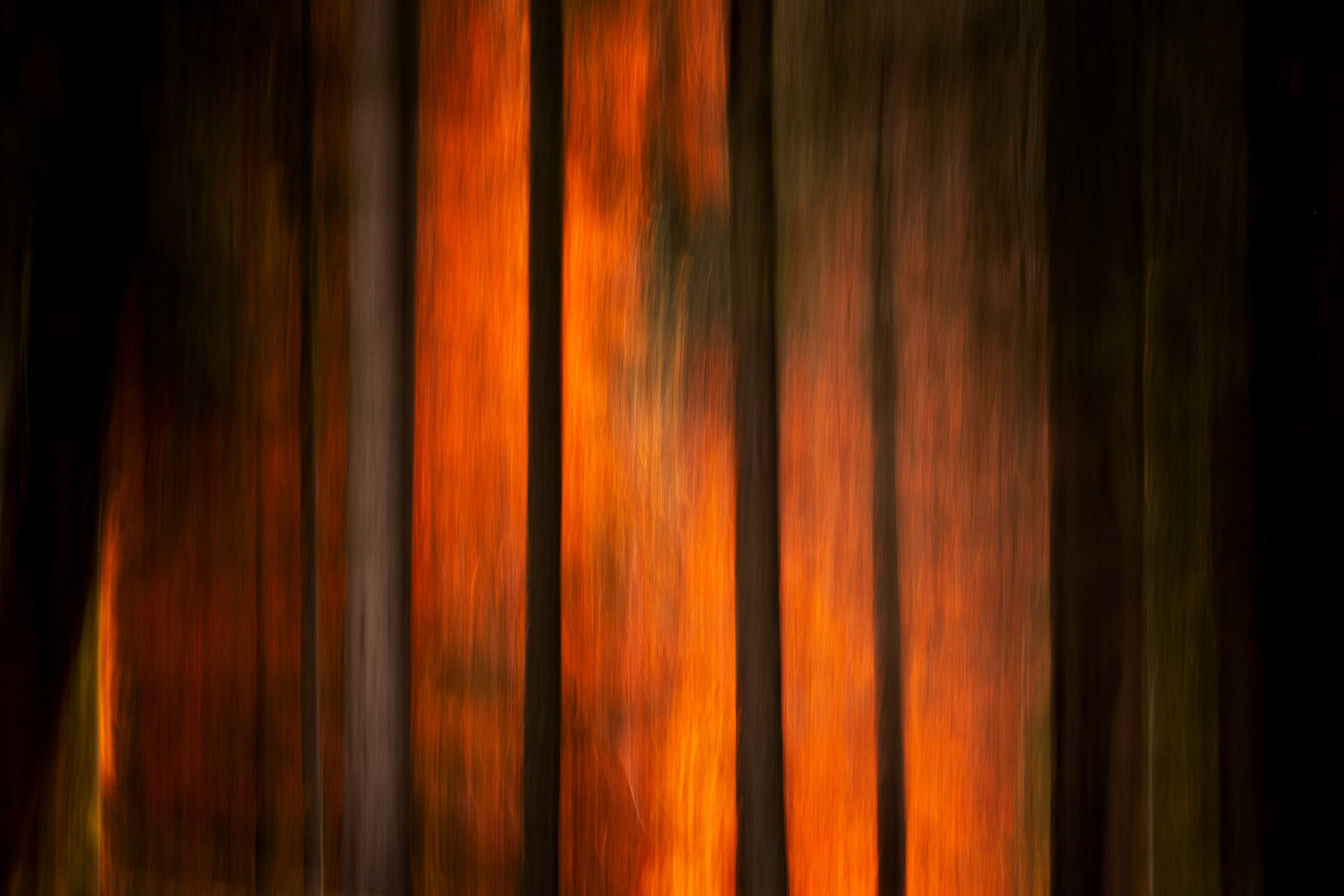 Autumn-Fire-11.jpg
