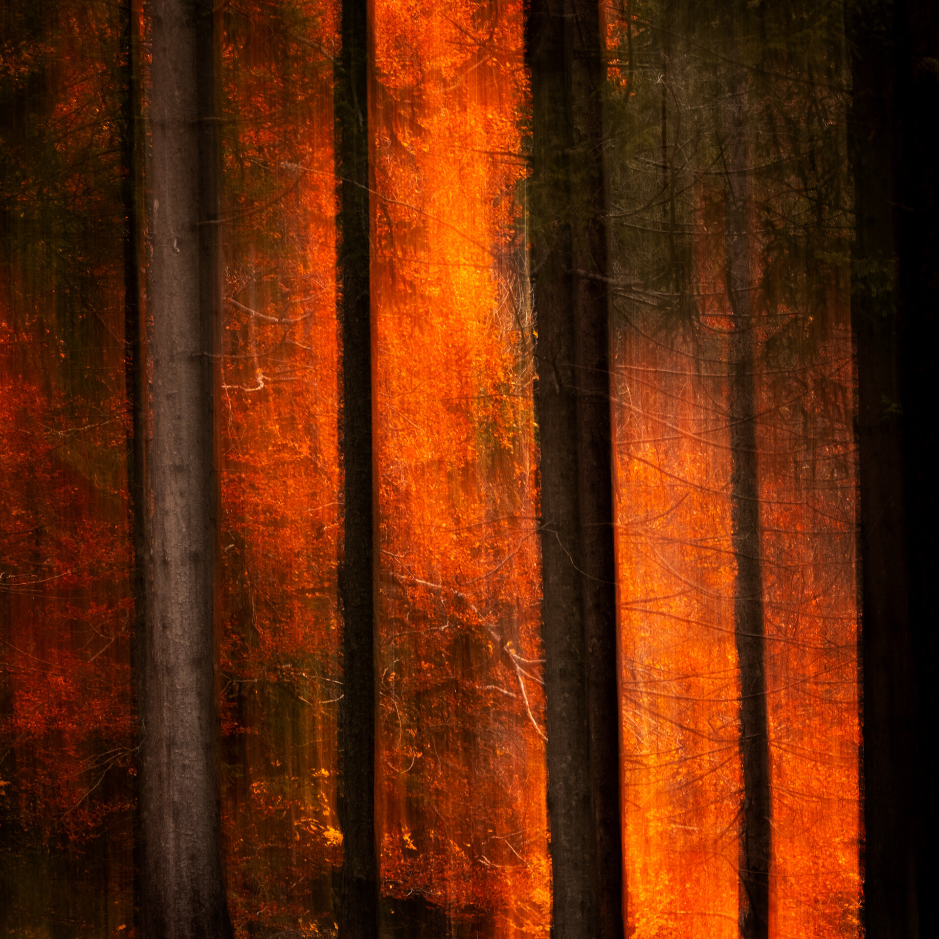 Autumn-Fire-13.jpg