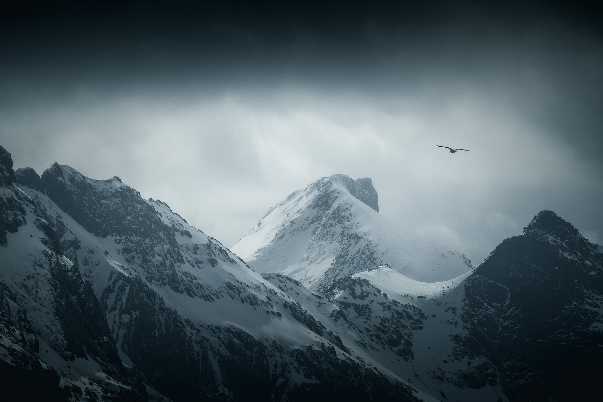 Norway-Lofoten-05-20-1.jpg