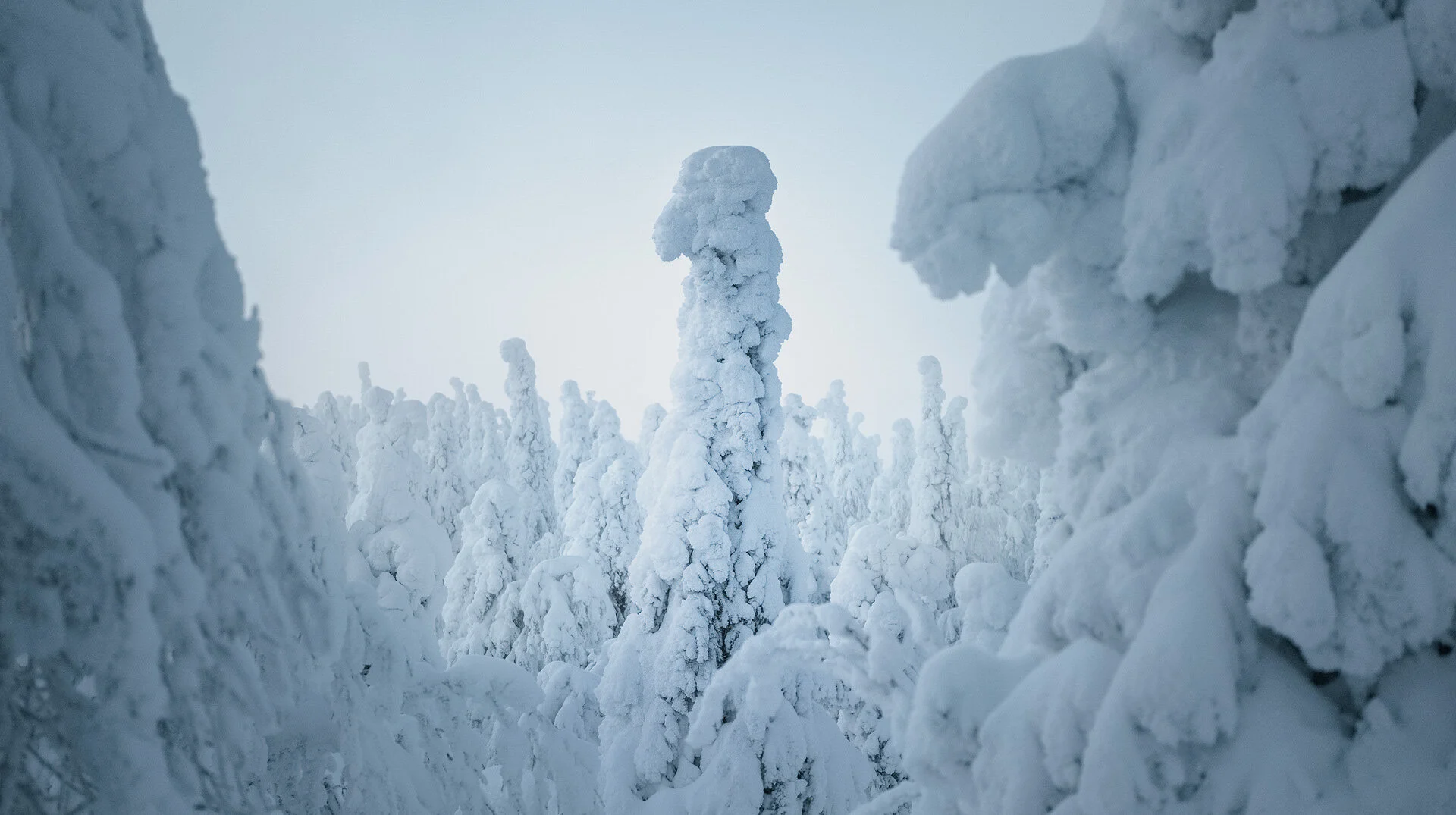 Finland-01-2019-7.jpg