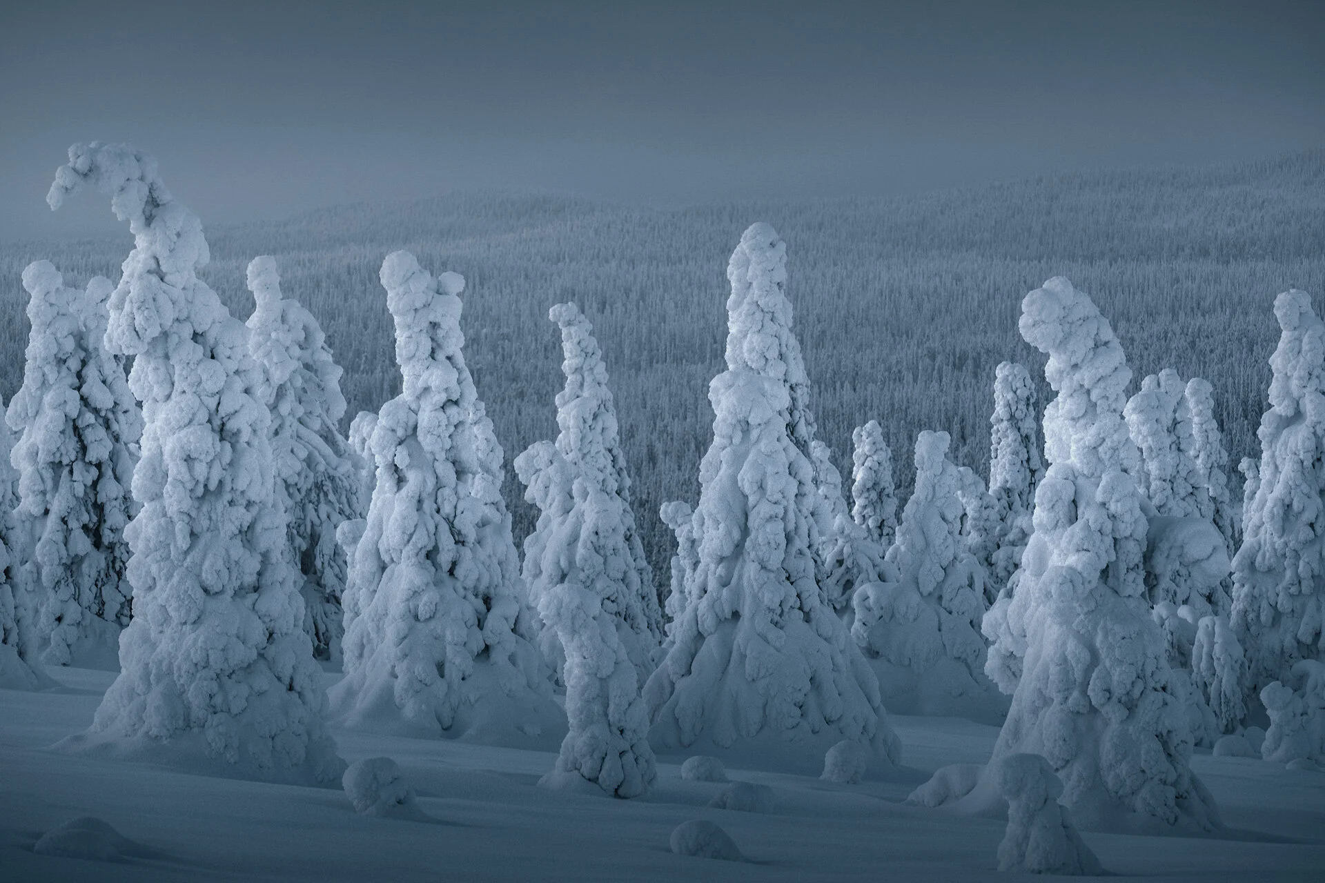 Finland-01-2019-8.jpg