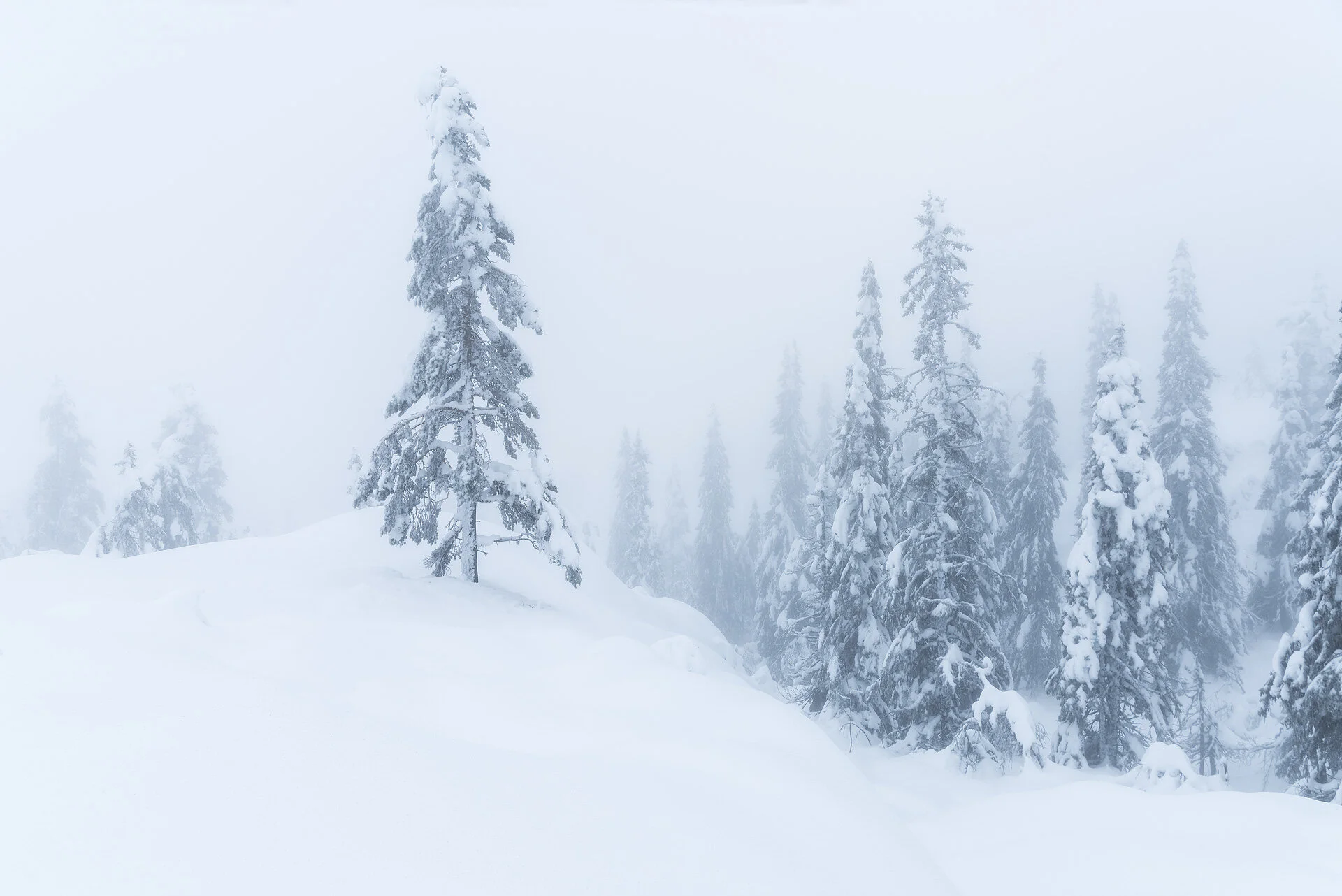 Kongsberg-Winter-11-19-6.jpg