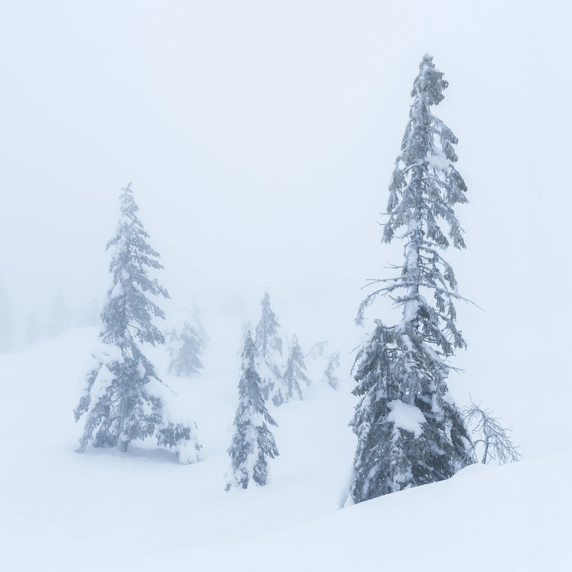 Kongsberg-Winter-11-19-5.jpg
