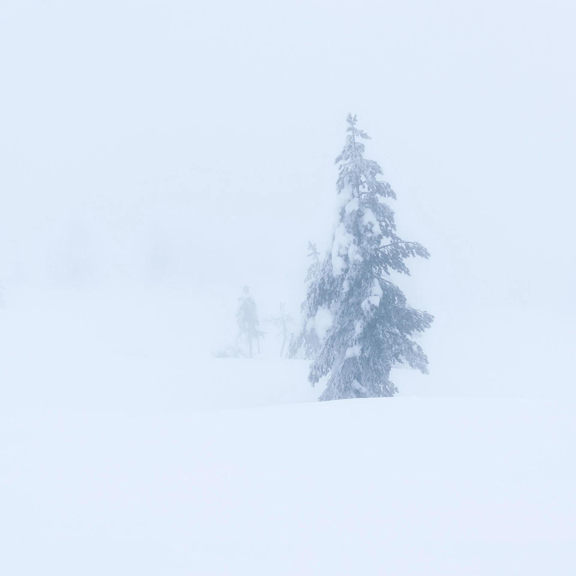 Kongsberg-Winter-11-19-8.jpg
