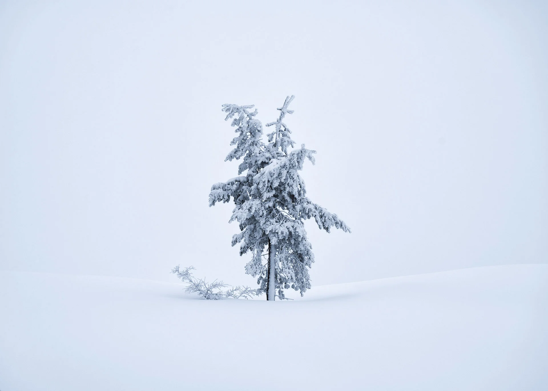 Christian-Hoiberg-Winter-Portraits-8.jpg