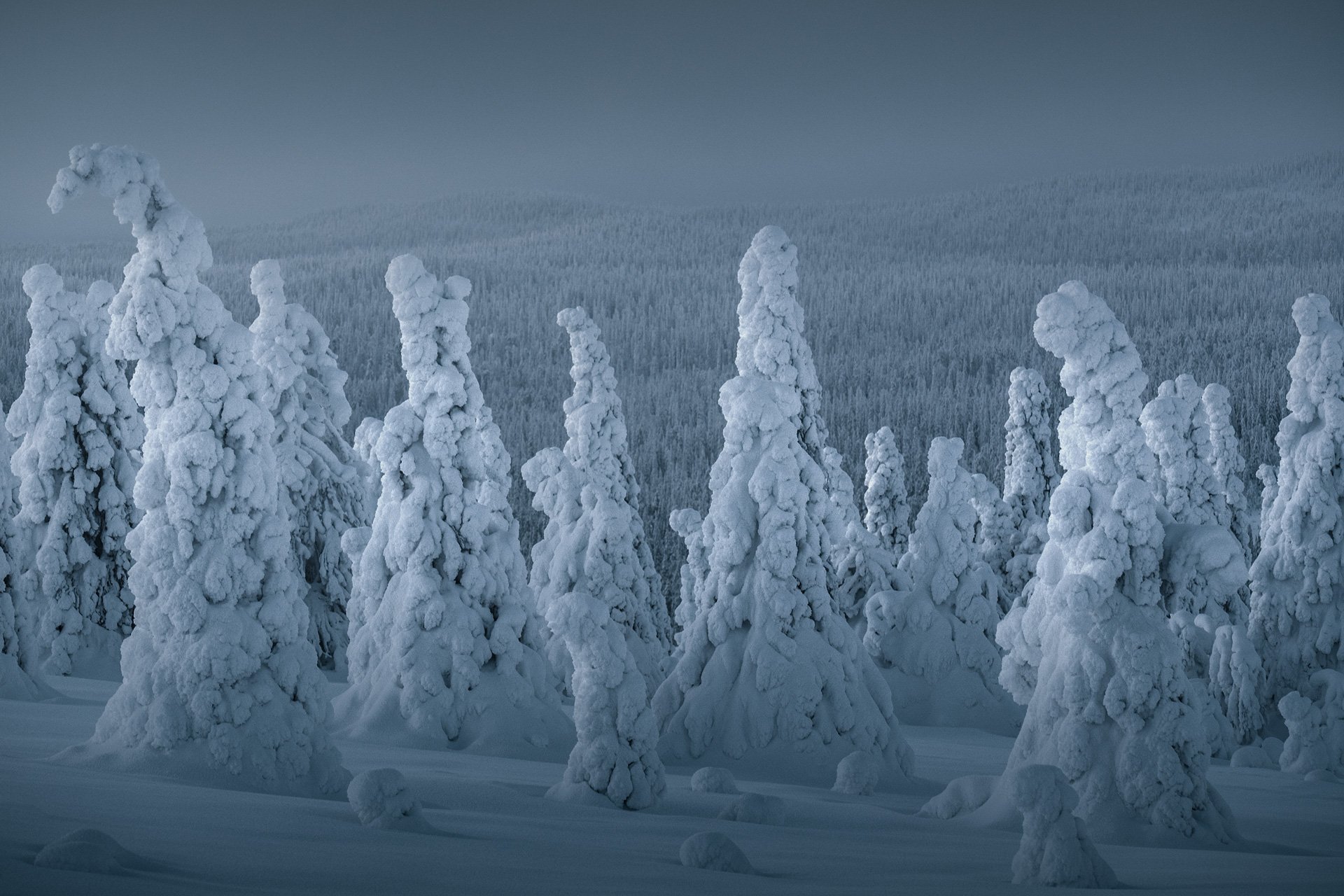 Finland-01-2019-8.jpg