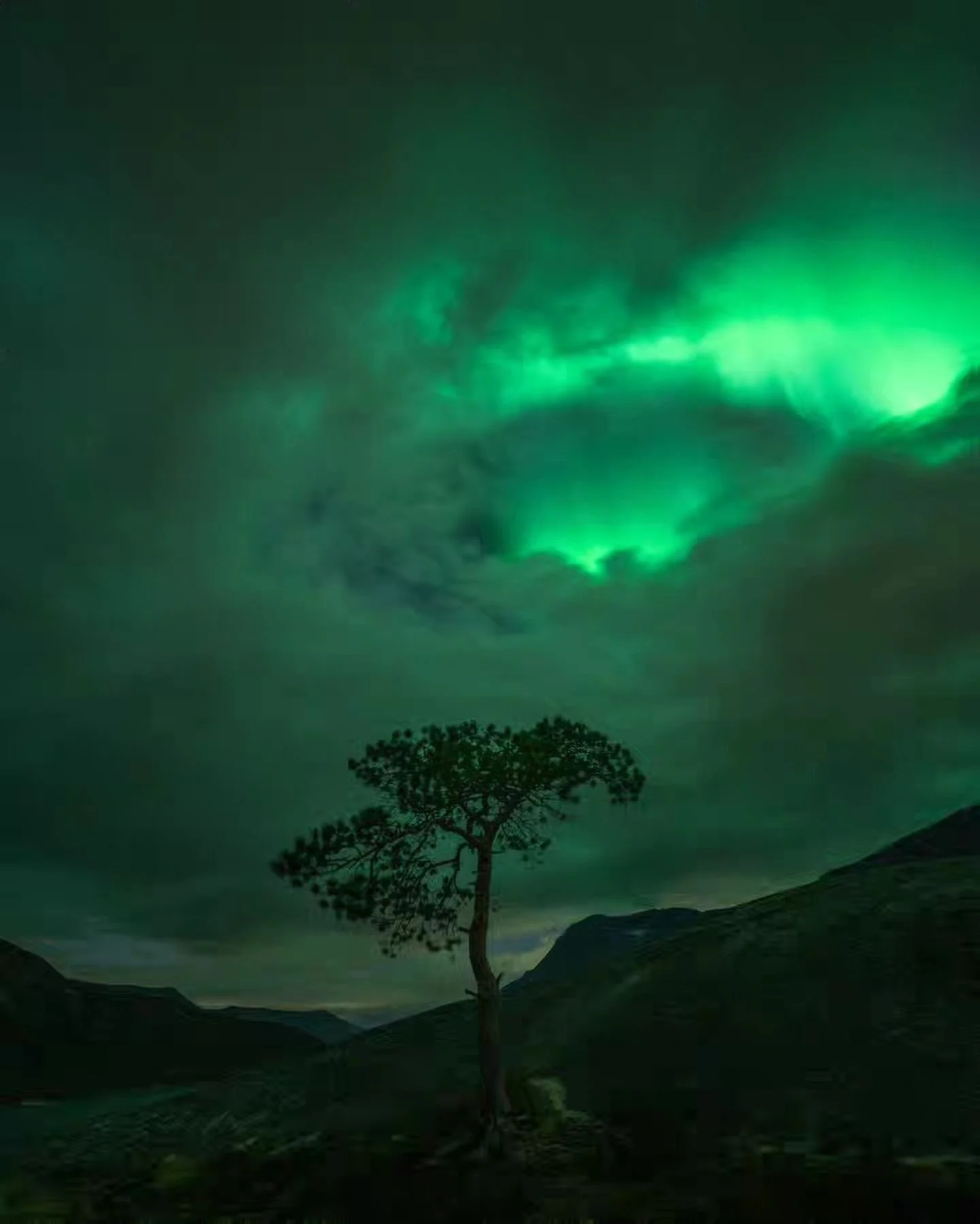 Playing hide-and-seek with the Lady in Green 💚 

#norges_fotografer #northernnorway #northernlights #auroraborealis #capturelandscapes #builtforwinter #nyaevogear