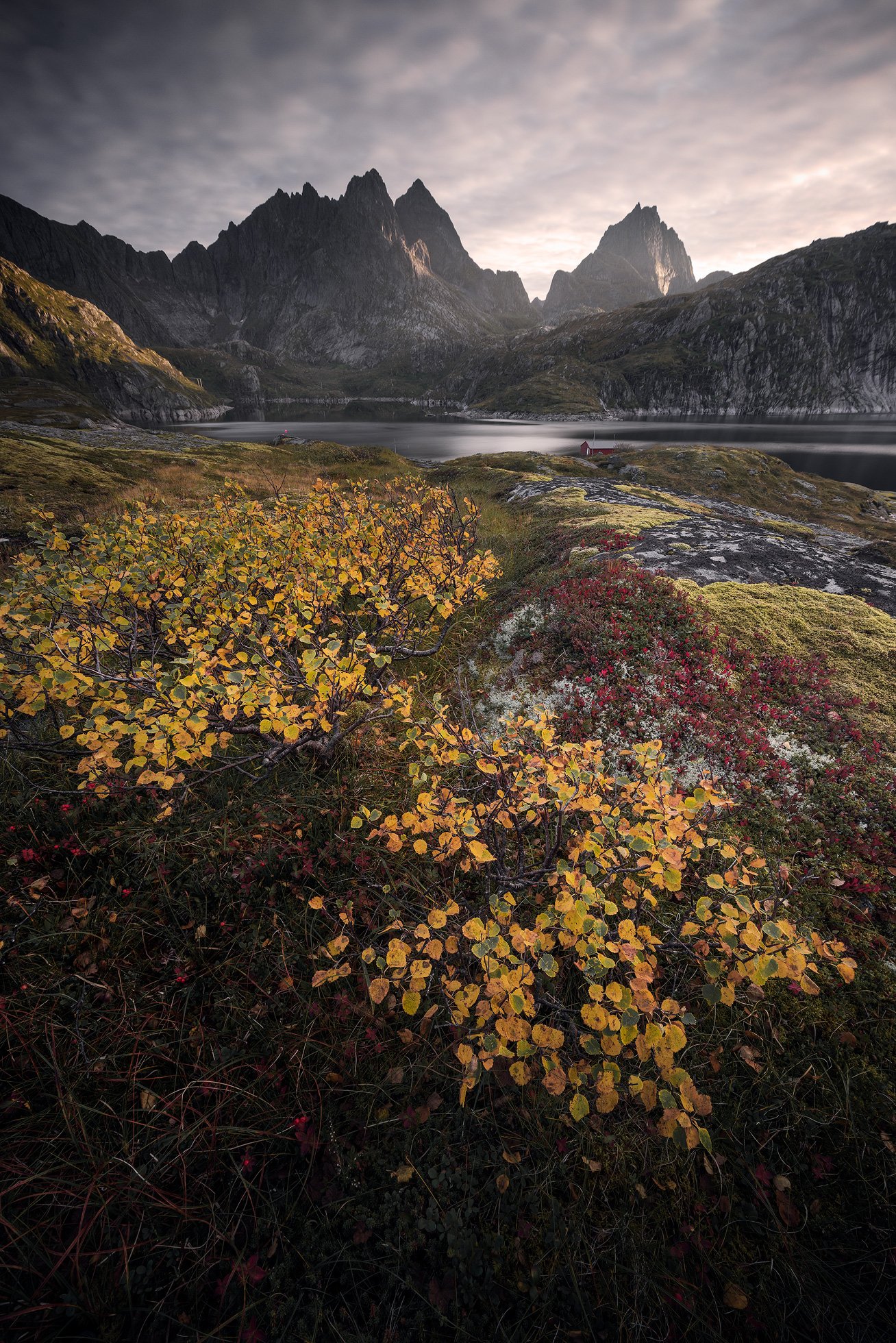 Lofoten-Moskenes-Lake-Sunset.jpg