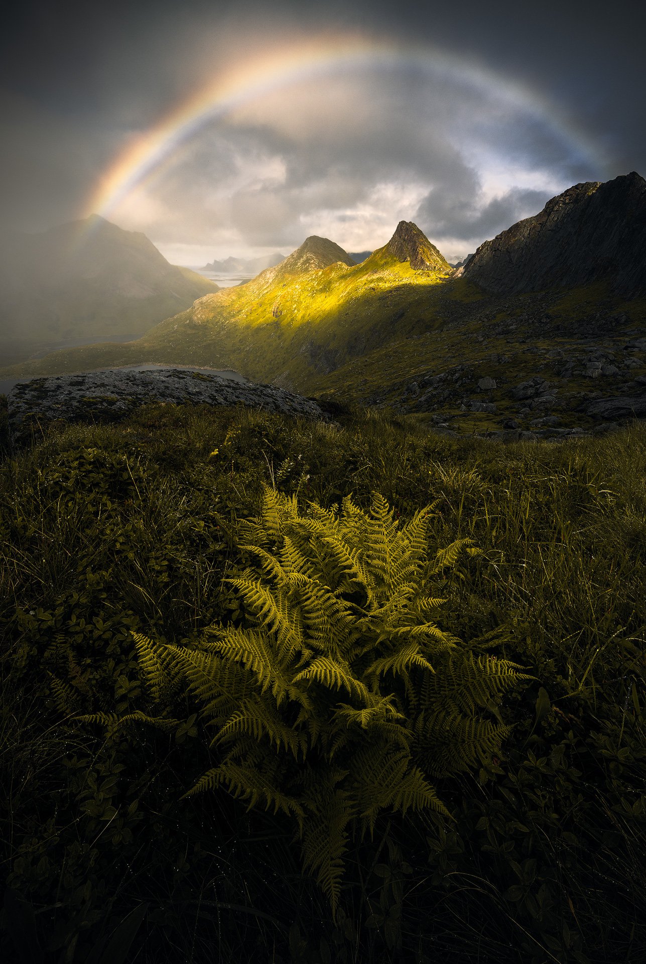 Norway-Lofoten-08-20-2.jpg