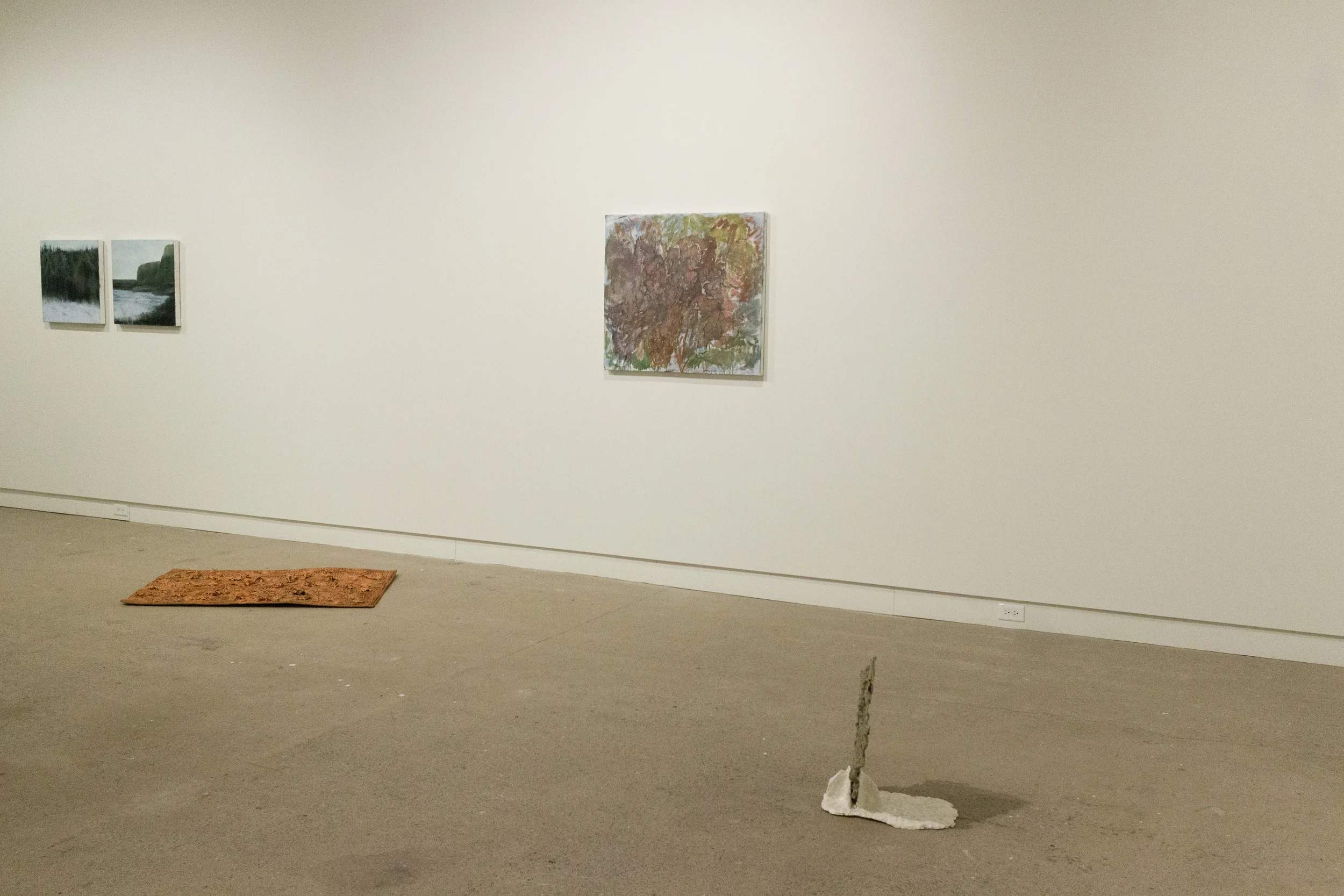 installation view sotto Jennifer Carvalho, Jamie Macaulay, Jenine Marsh, Kim Neudorf and Jag Raina January 9 to February 20, 2016 Modern Fuel Artist-Run Centre Kingston, Ontario, Canada photo by Chris Miner