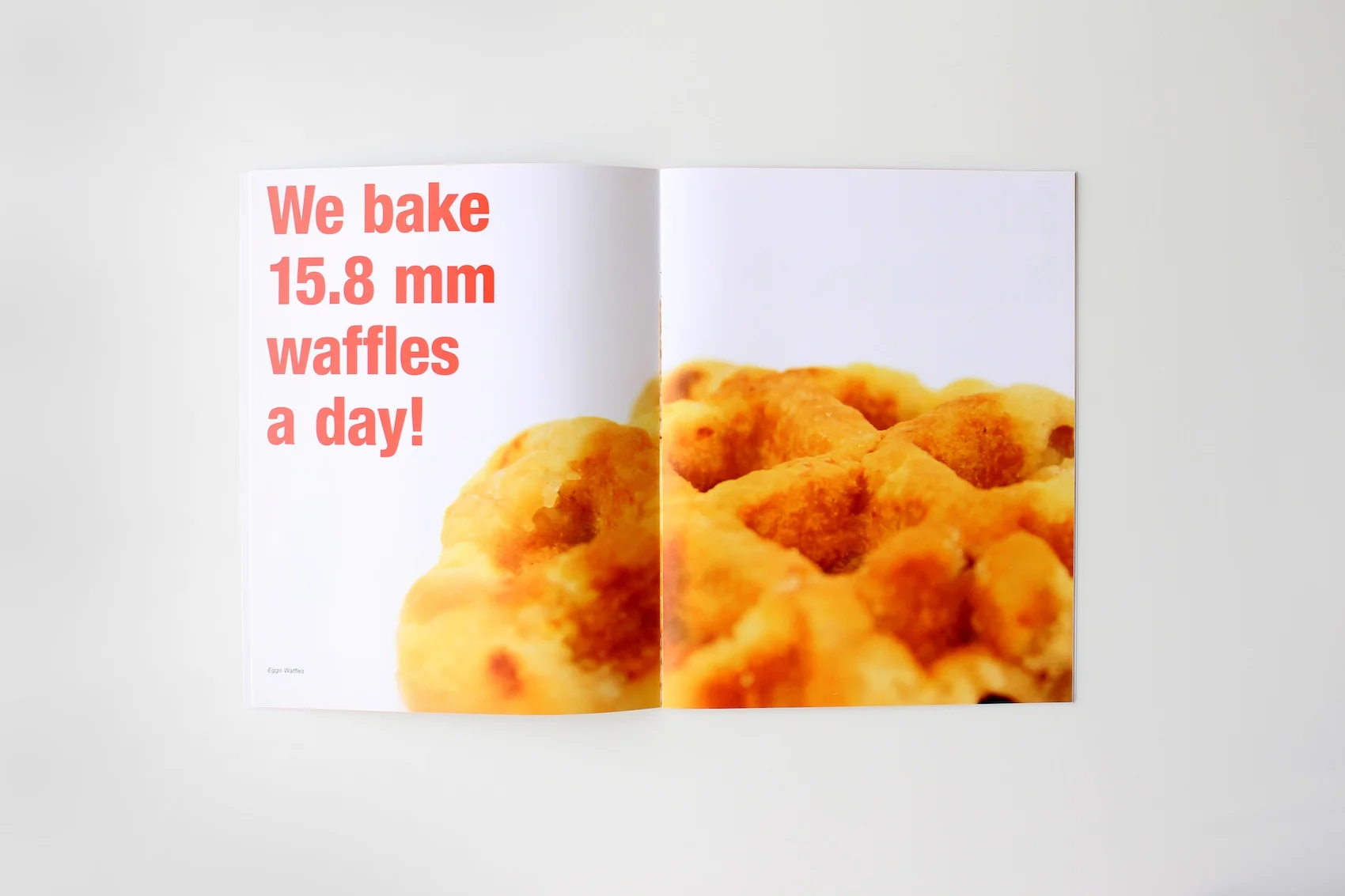 Kellogg's Annual Report