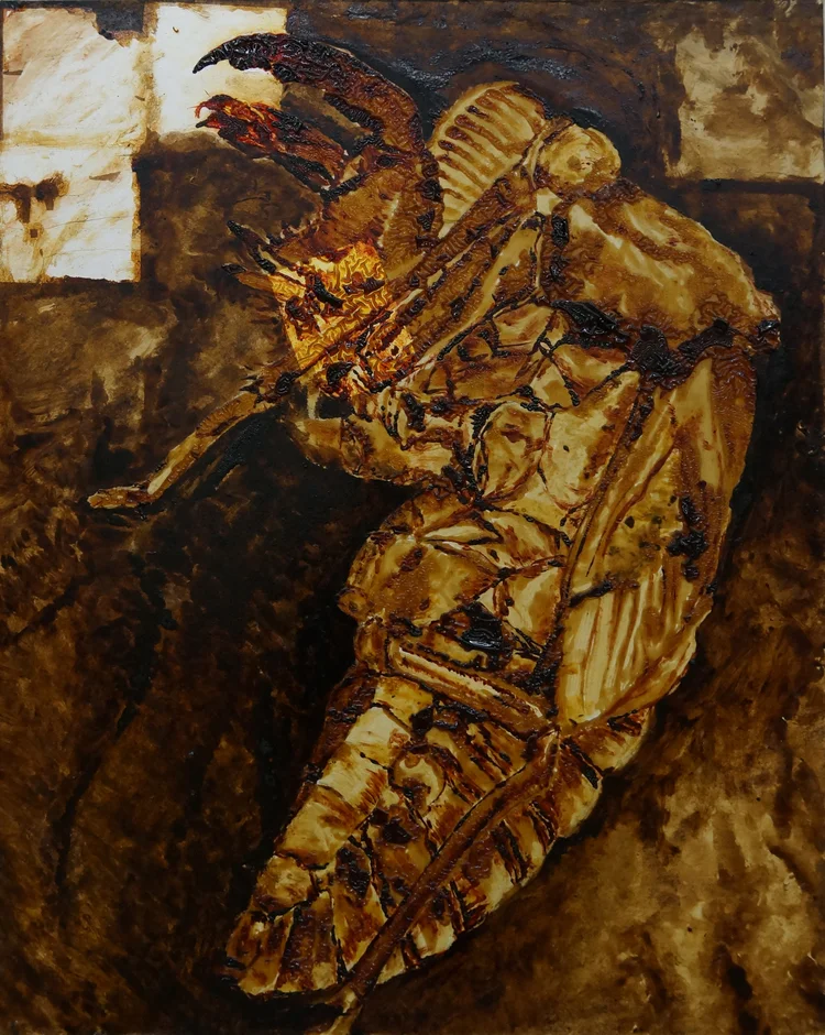 Cicada Husk Study III / セミの抜け殻 III