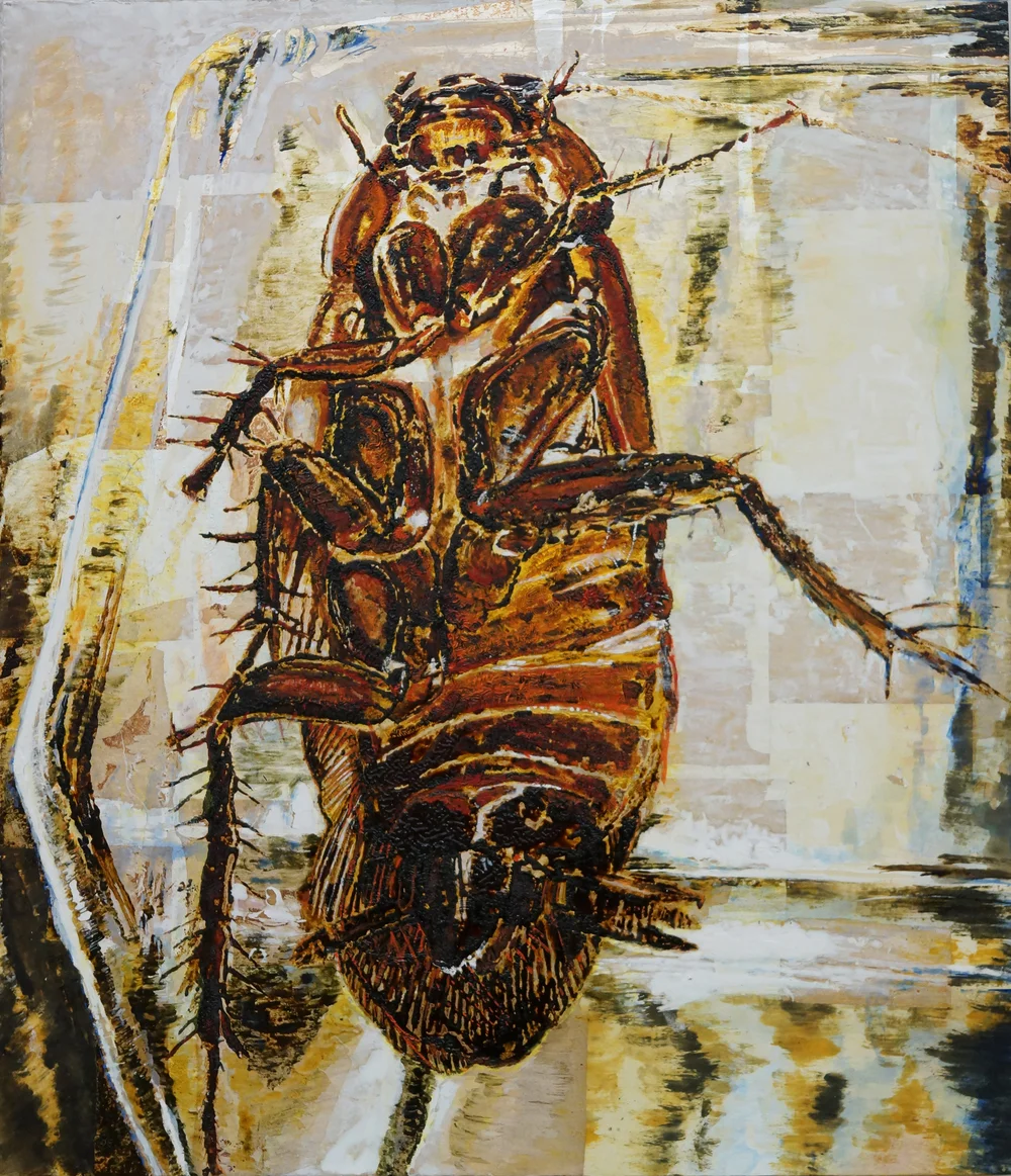 Cockroach in Jar / 瓶のゴキブリ
