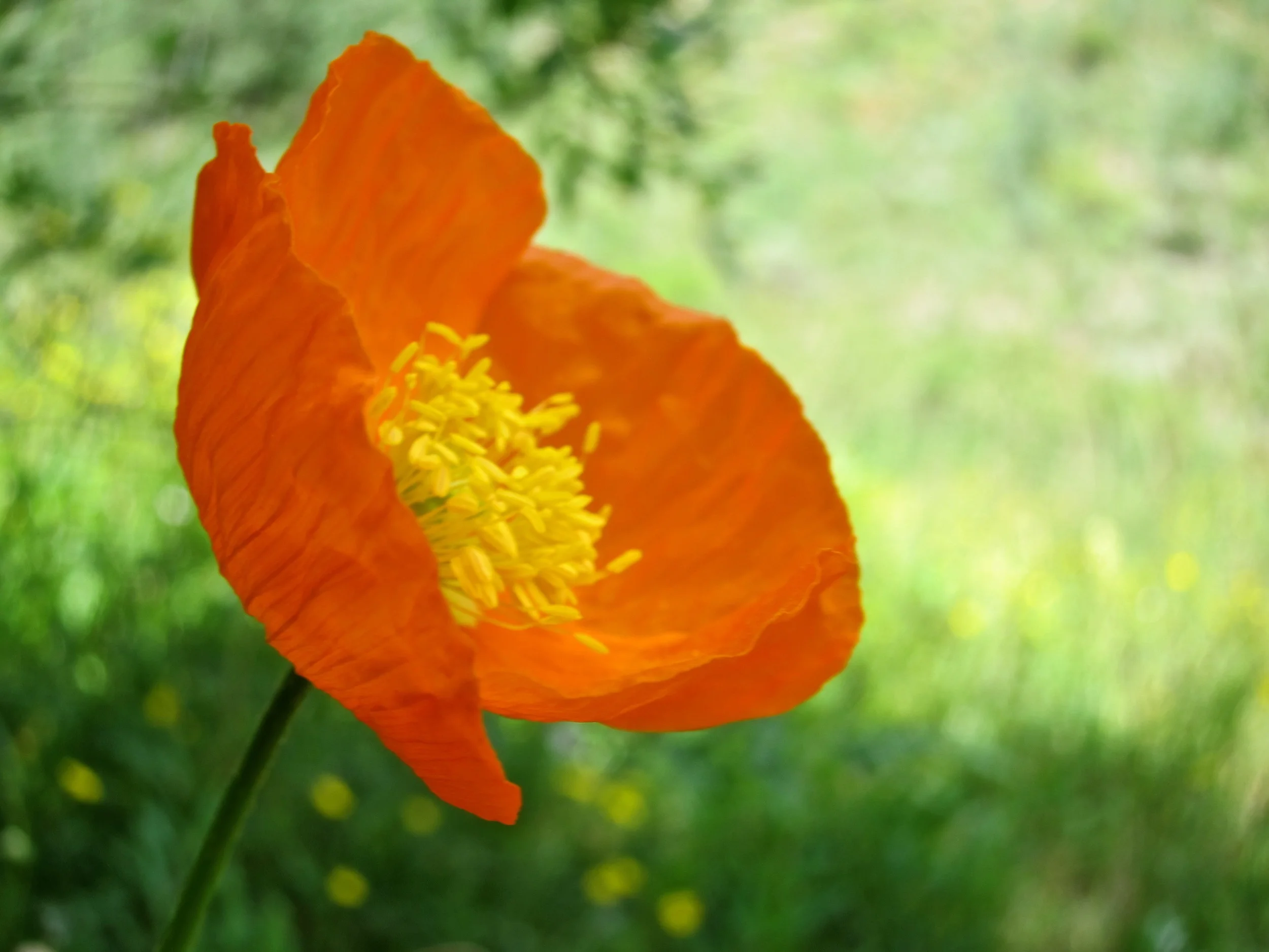 IMG_5677 - Version 2.jpg