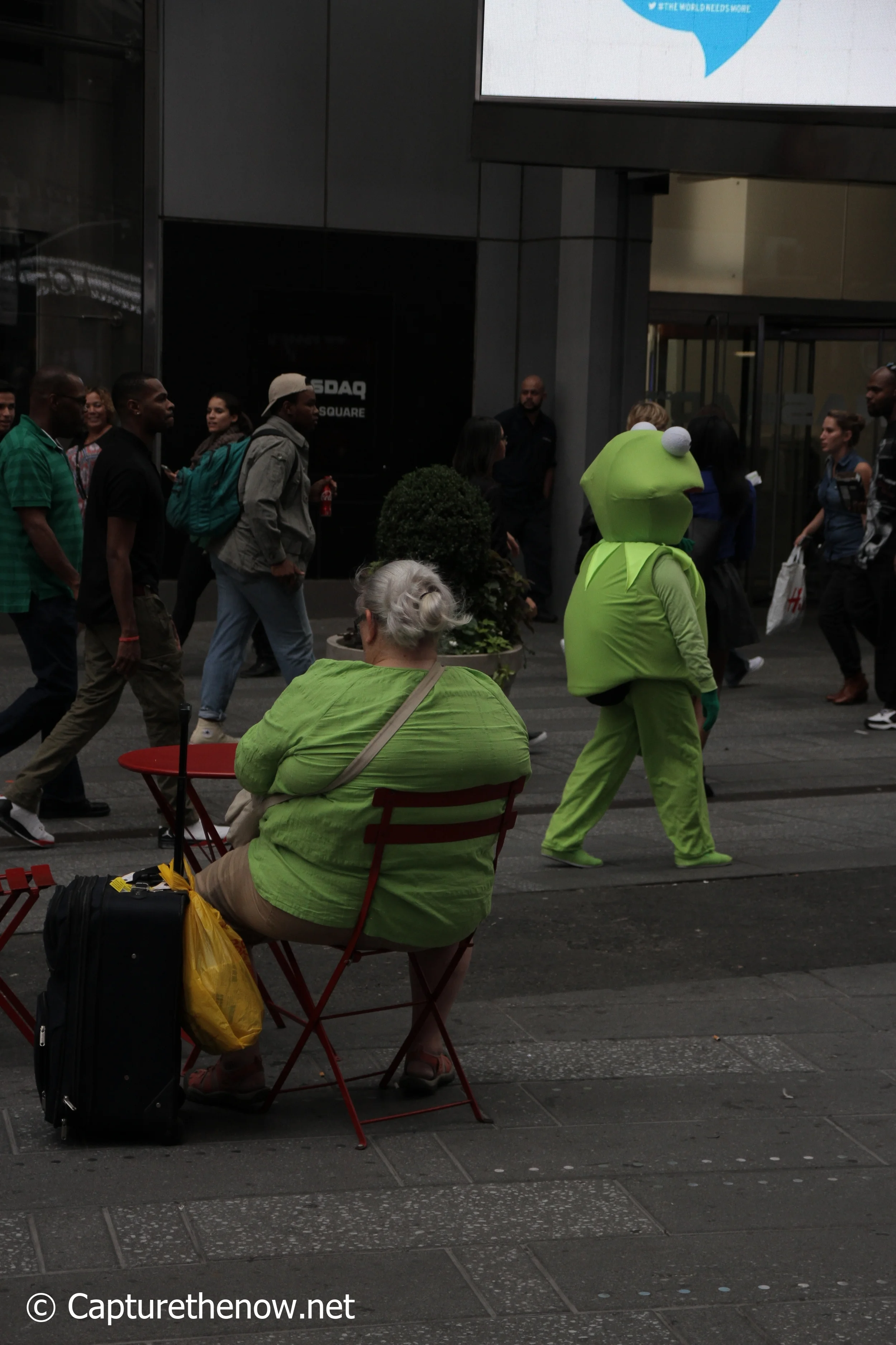 Kermit - New York (2014)