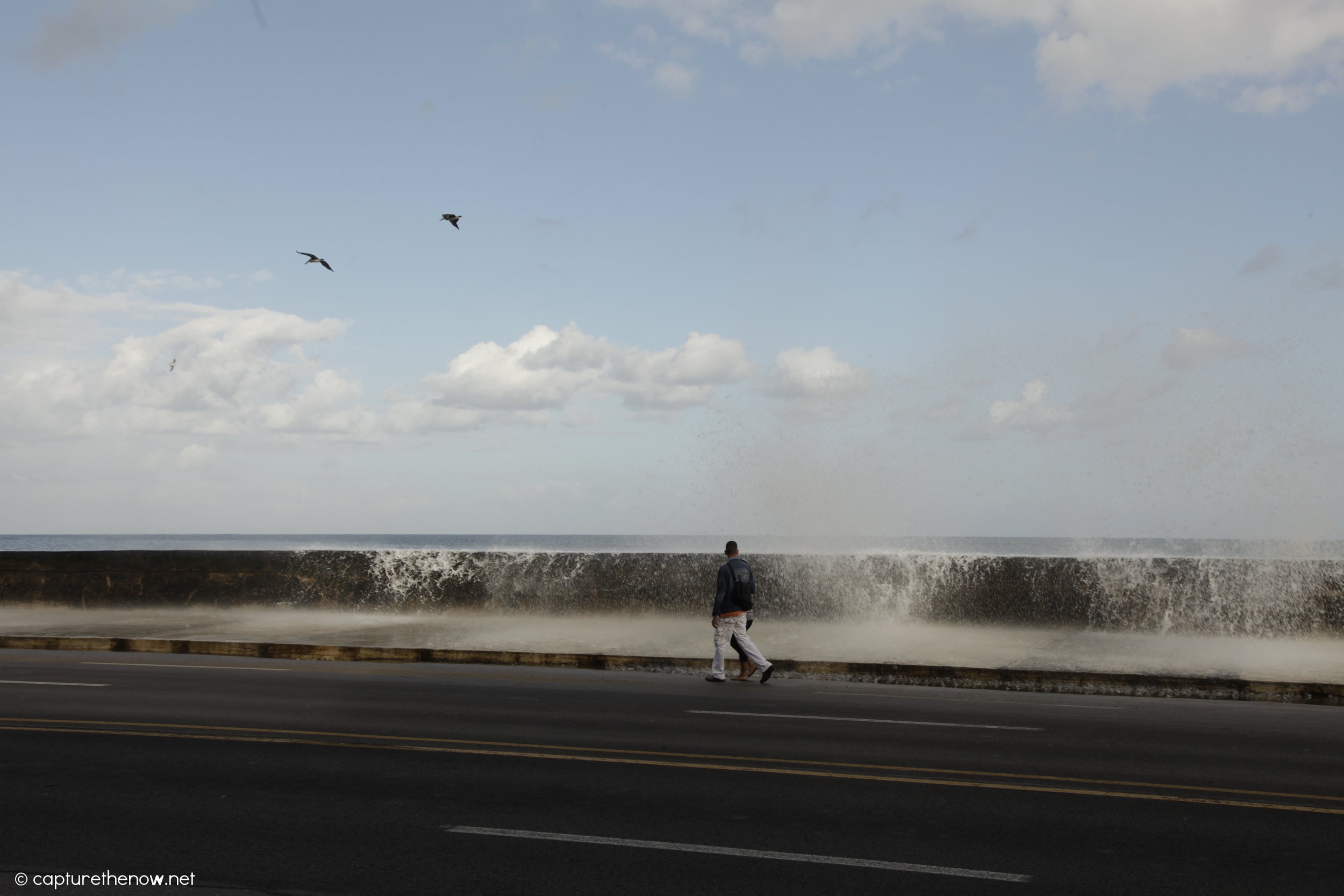 _MG_5181.JPG