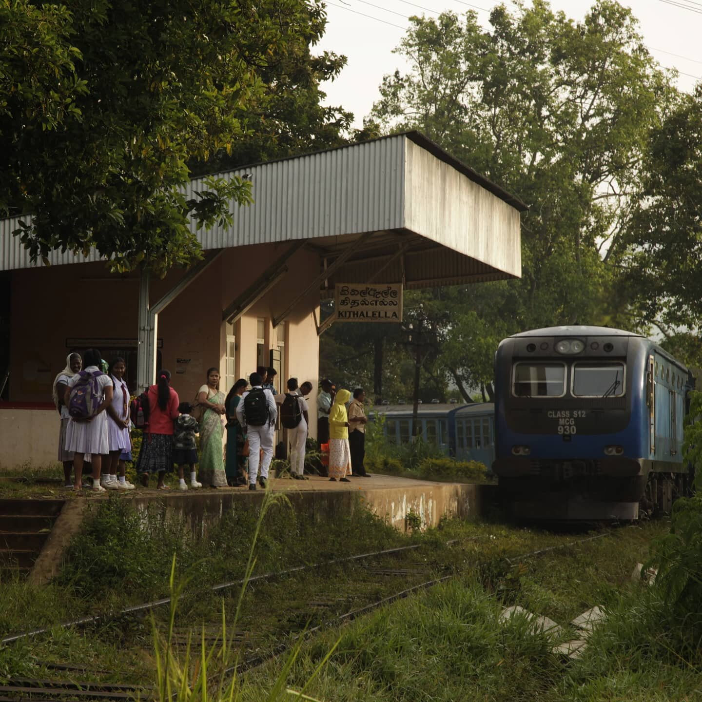 📷 Treintje komt zo
🌏 Kithalella, Sri Lanka

#lptreinreizen #guardiantravelsnaps  #lpopavontuur #reportagespotlight #srilanka #trainstation #srilankatravel #srilankadaily #asianwanderlust #discoverasia #noicemag #igersmyanmar #myanmarburma #eindevan