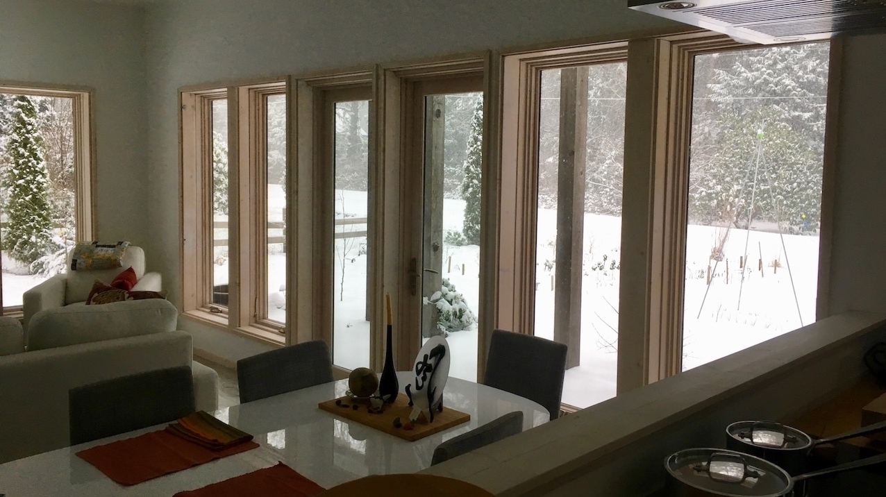 windows with a simple snowy view.jpg