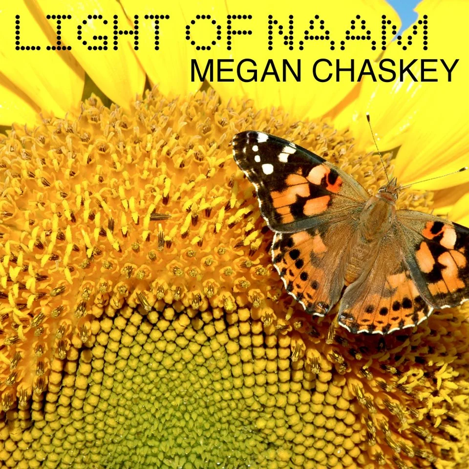 Light of Naam.jpg